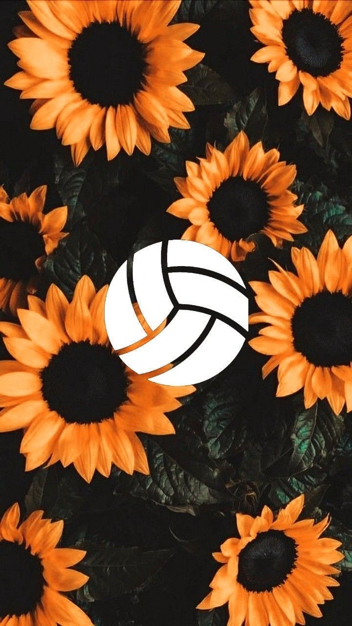 Volleyball iPhone Wallpapers - Top Free Volleyball iPhone Backgrounds ...