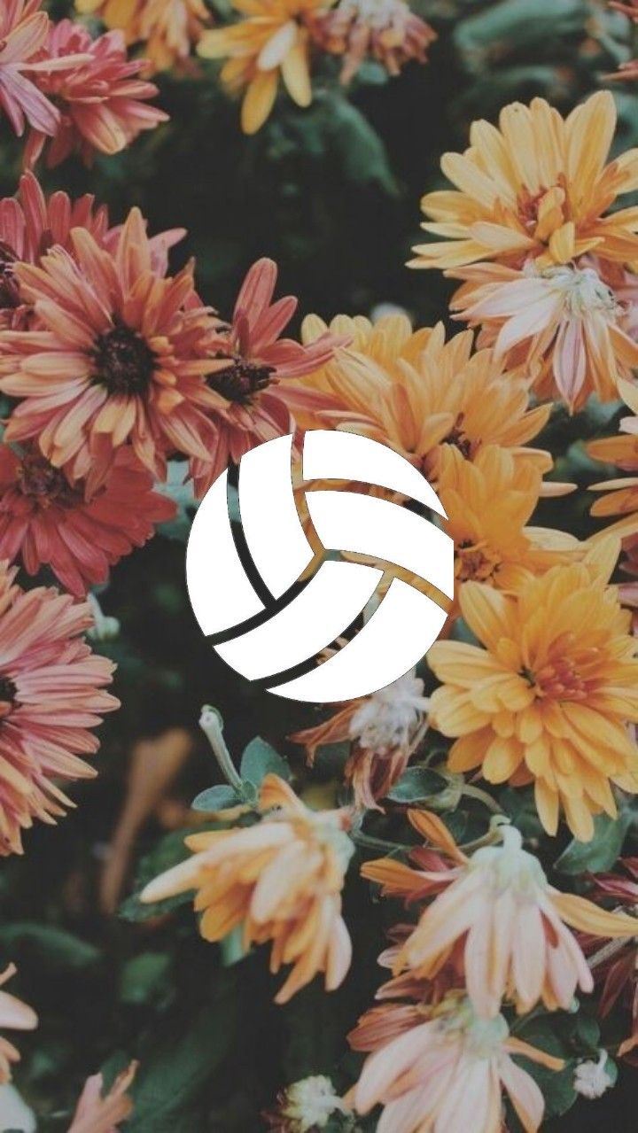 720x1279 Volleyball iPhone Wallpaper
