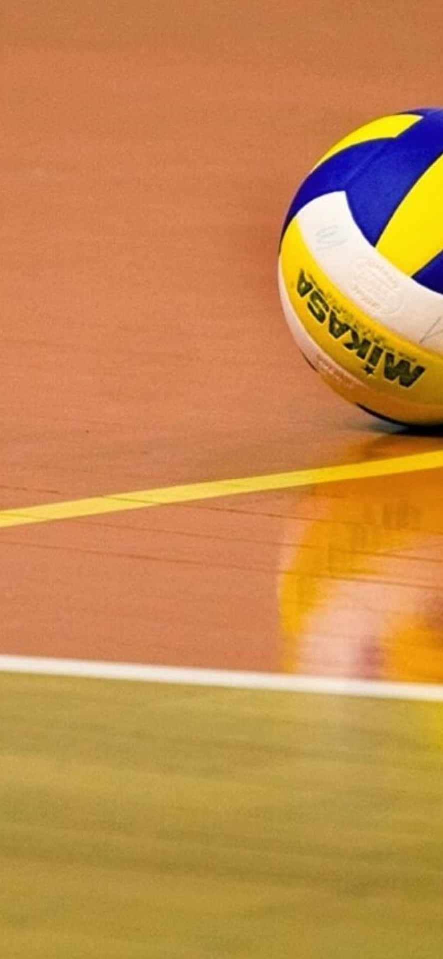 887x1920 iPhone Xs Max Volleyball Background