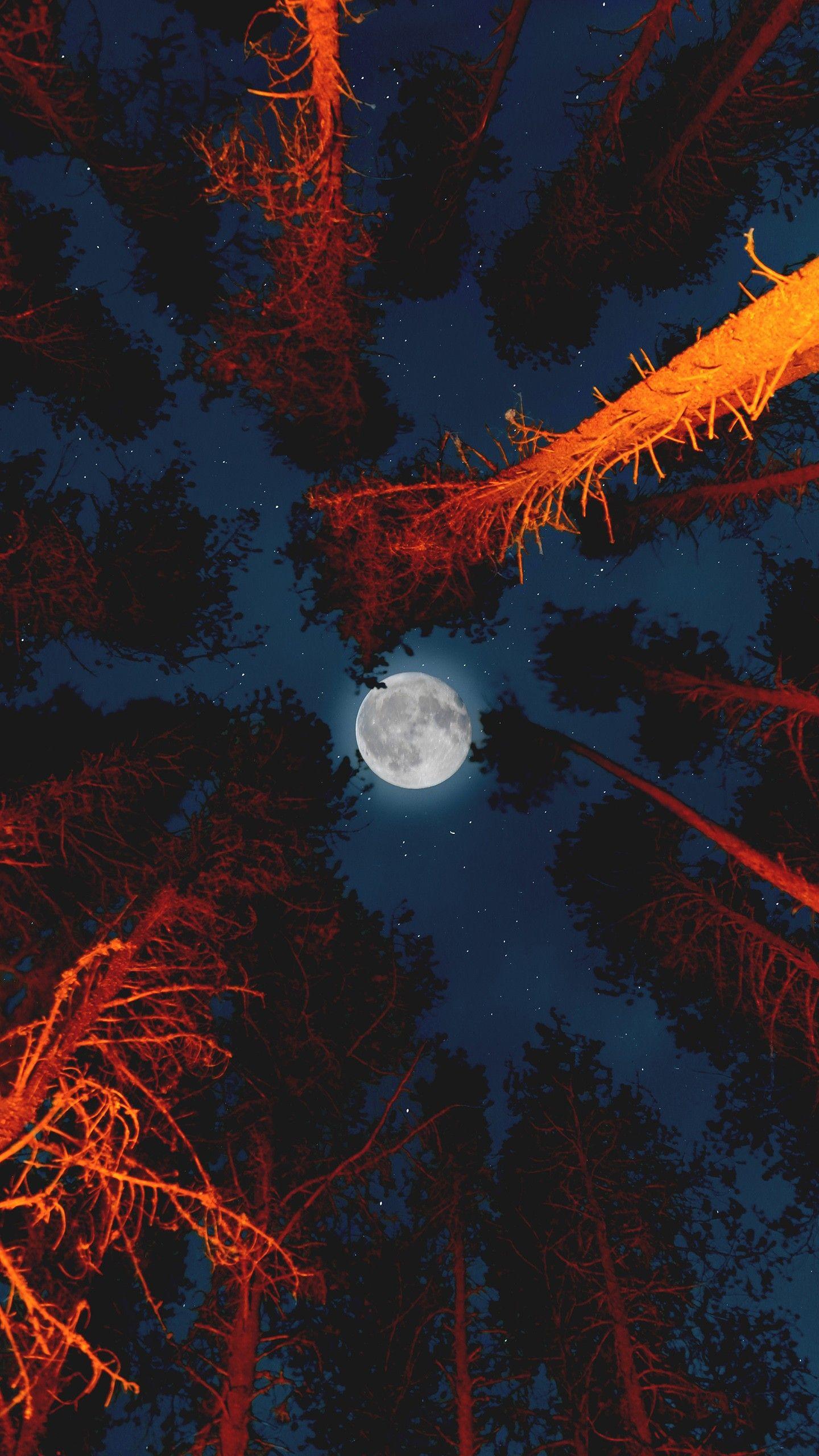1440x2560 Moon with Campfire in Forest Wallpaper