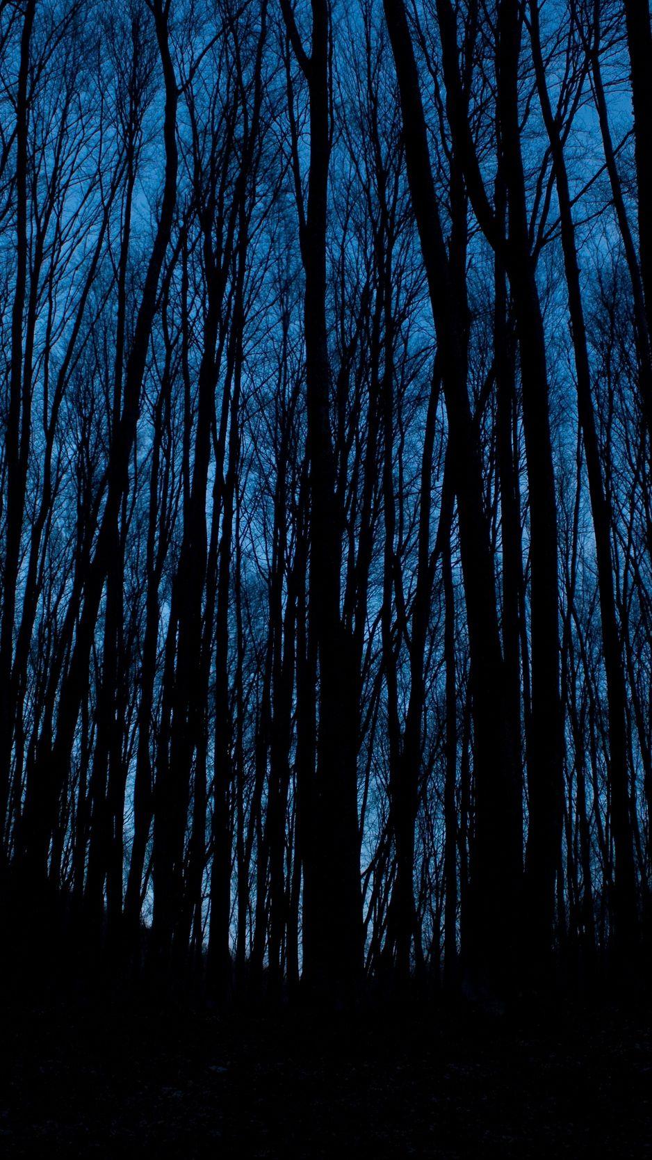 Night Forest iPhone Wallpapers - Top Free Night Forest iPhone ...