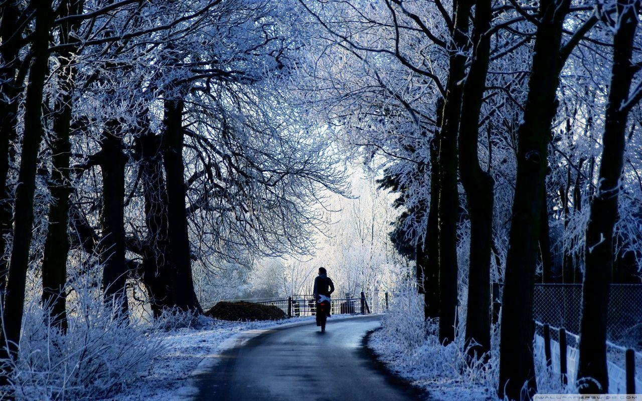 1280x800 Winter Road Scene ❤ 4K HD Desktop Wallpaper for 4K Ultra HD