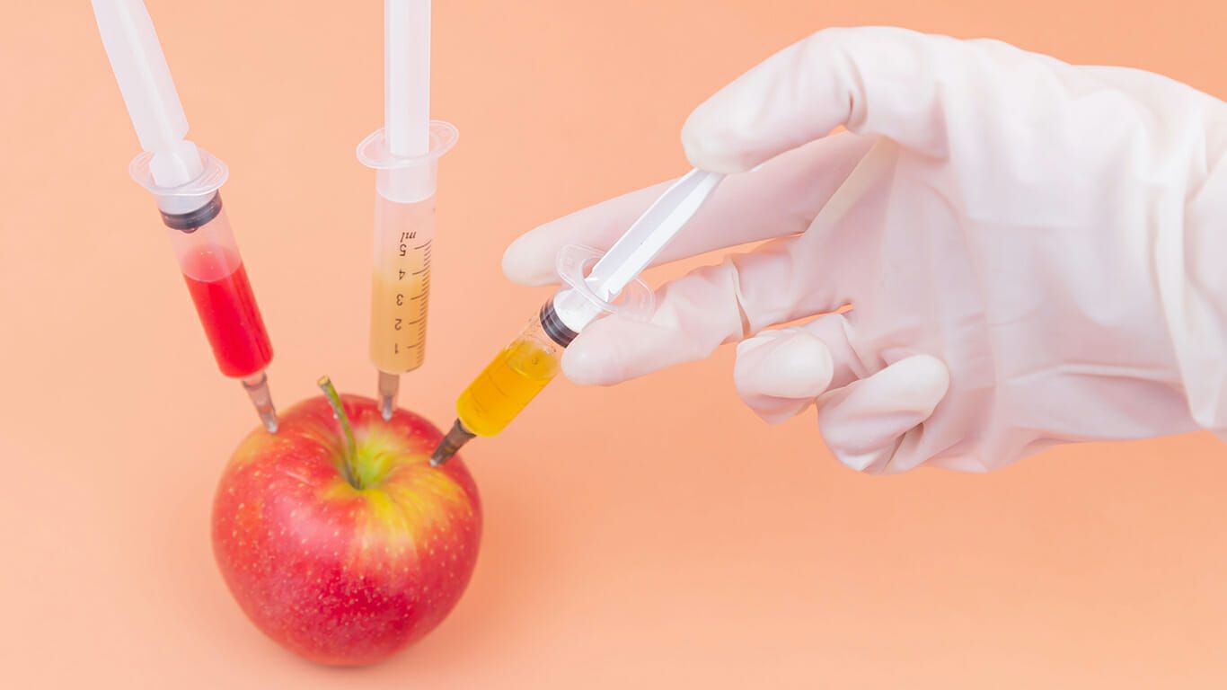 1366x768 Building a future in food technology: 4 jobs and the key skills you need Big Media