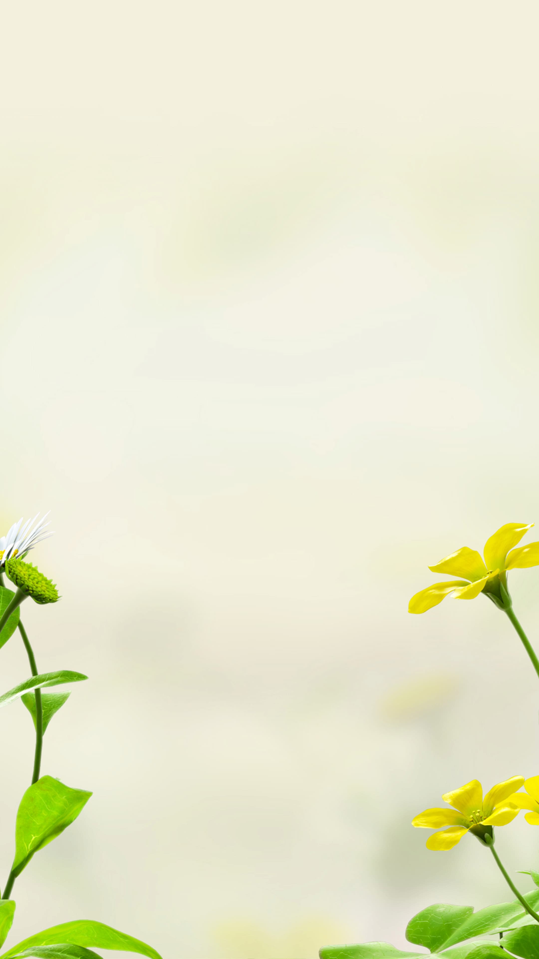 2160x3840 The official home for Pikmin