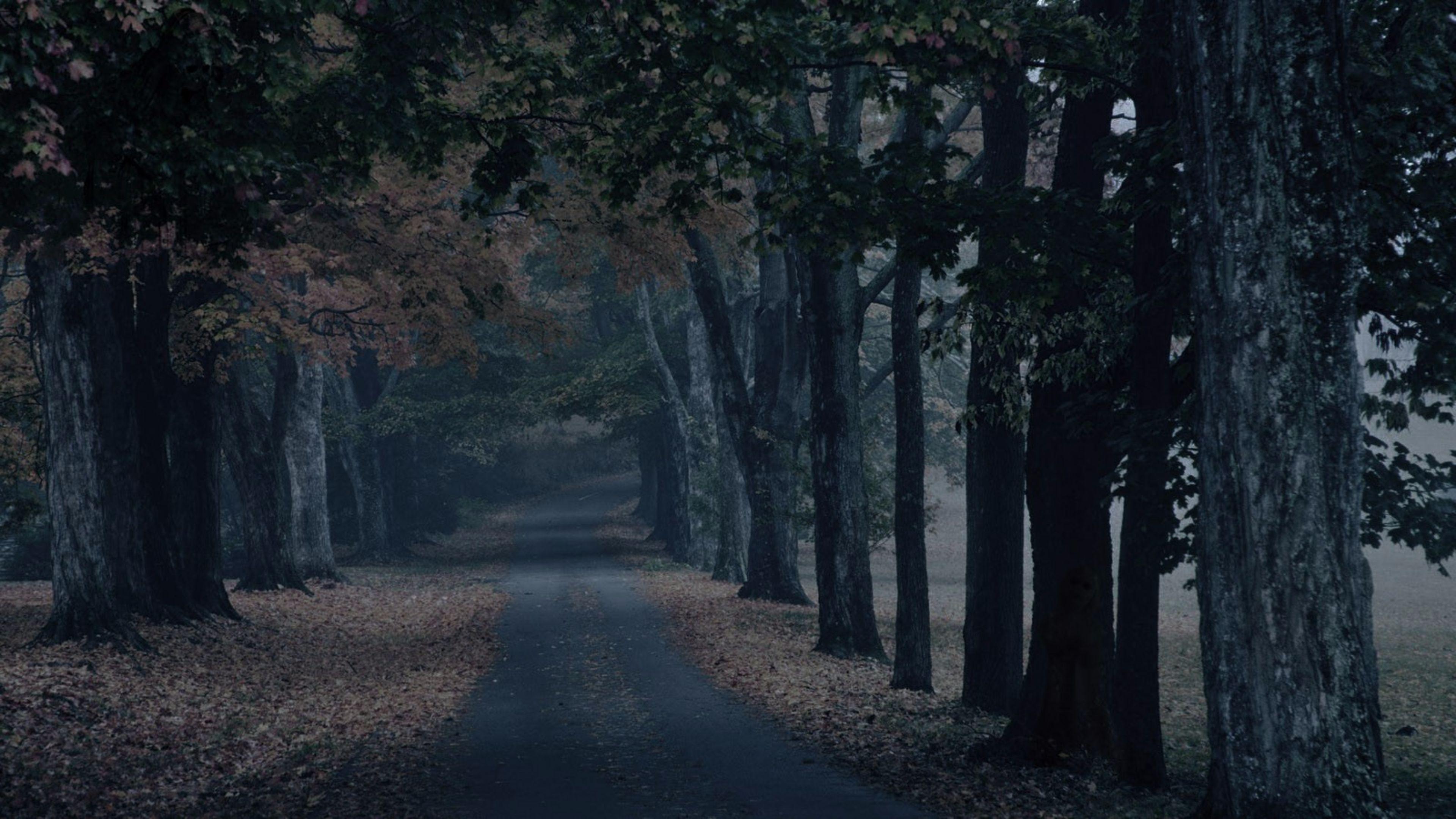 3840x2160 Creepy Fall Wallpaper