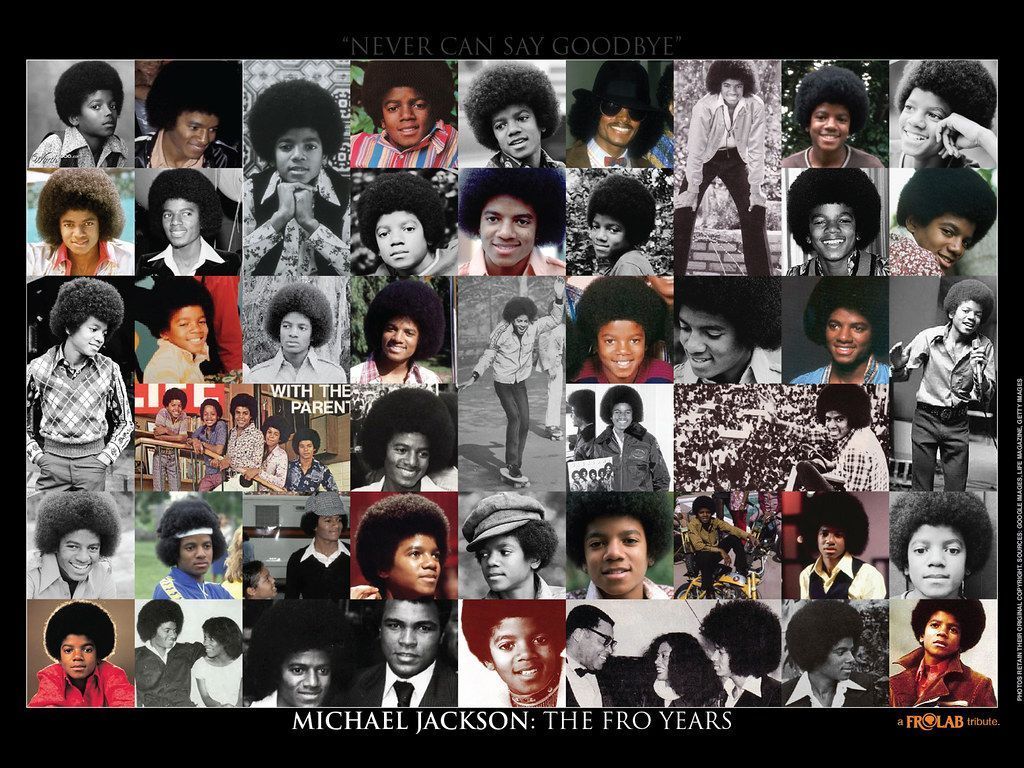 1024x768 Michael Jackson Fro Years desktop wallpaper