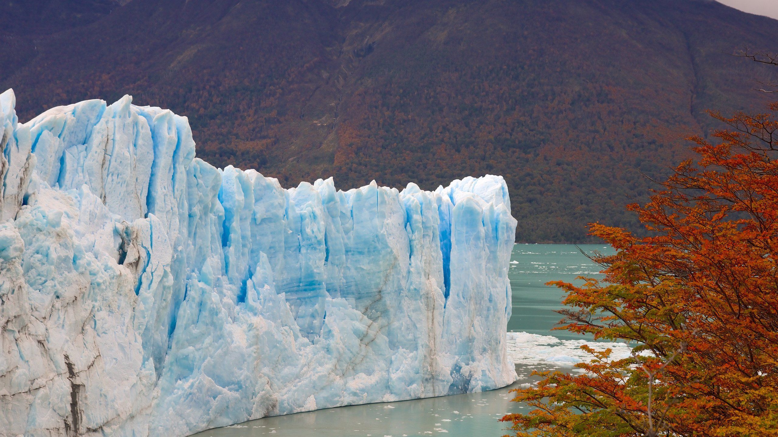 2560x1440 Perito Moreno Glacier Tours Now