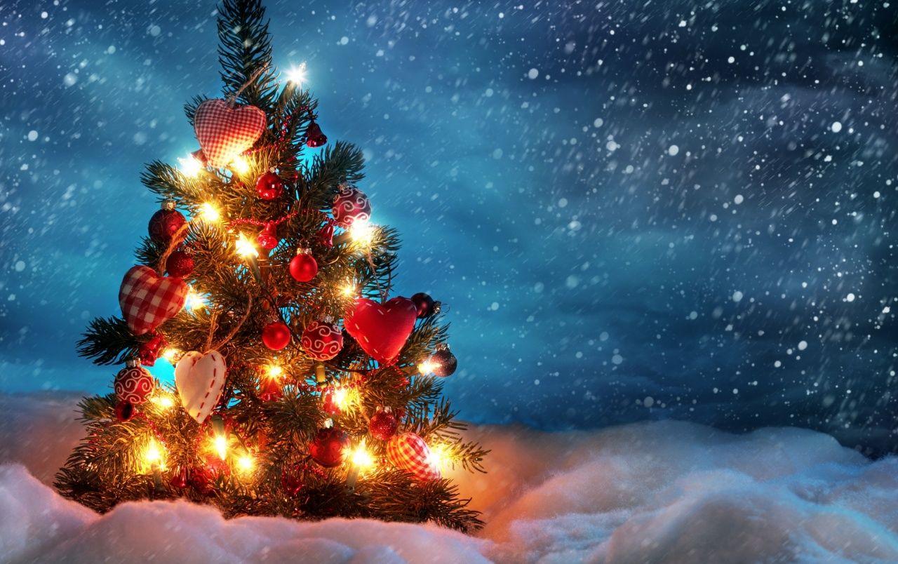 Christmas Tree Wallpapers - Top Free Christmas Tree Backgrounds -  WallpaperAccess