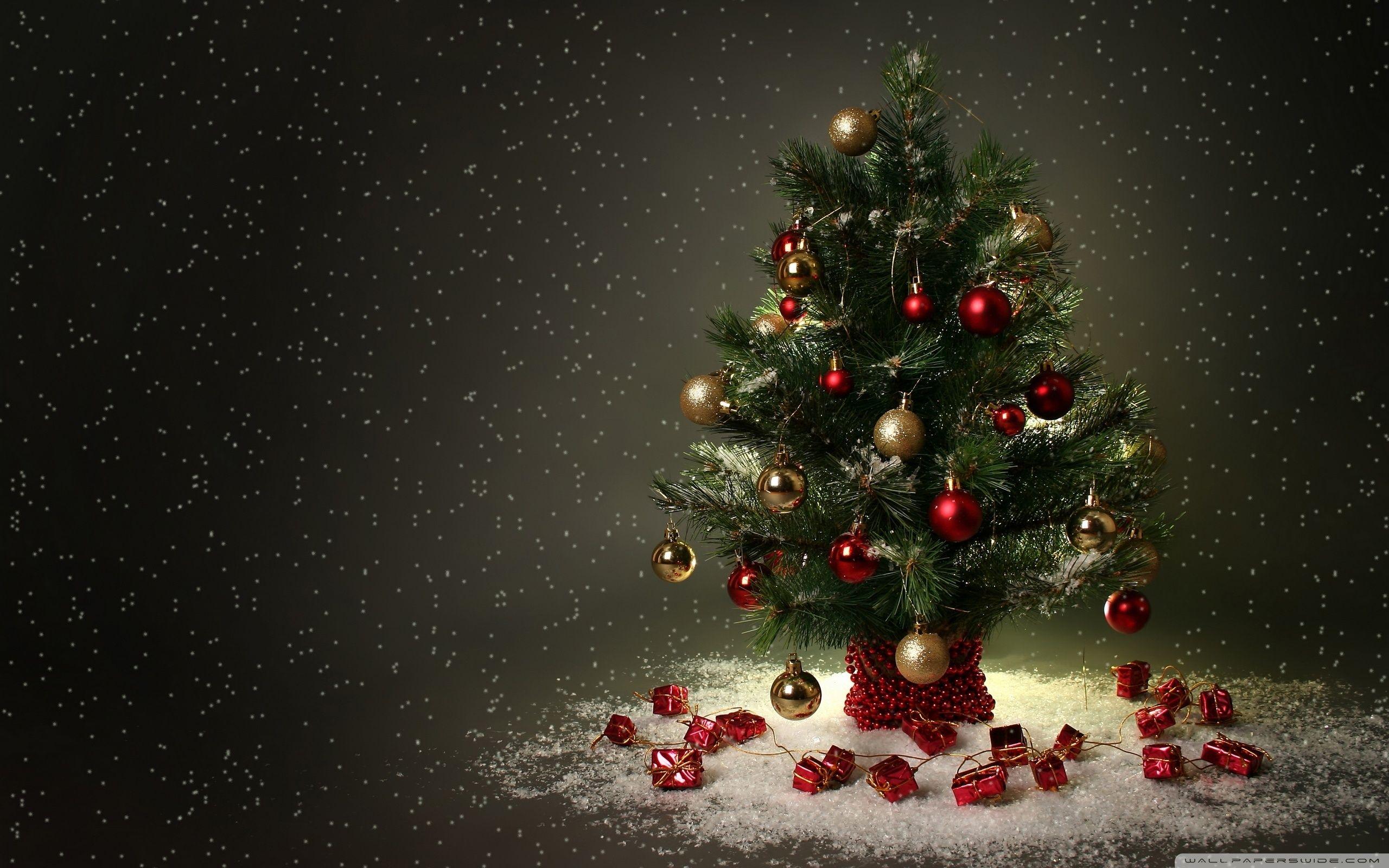 Hình ảnh cây thông Noel đẹp nhất cho mùa Giáng Sinh ấm áp