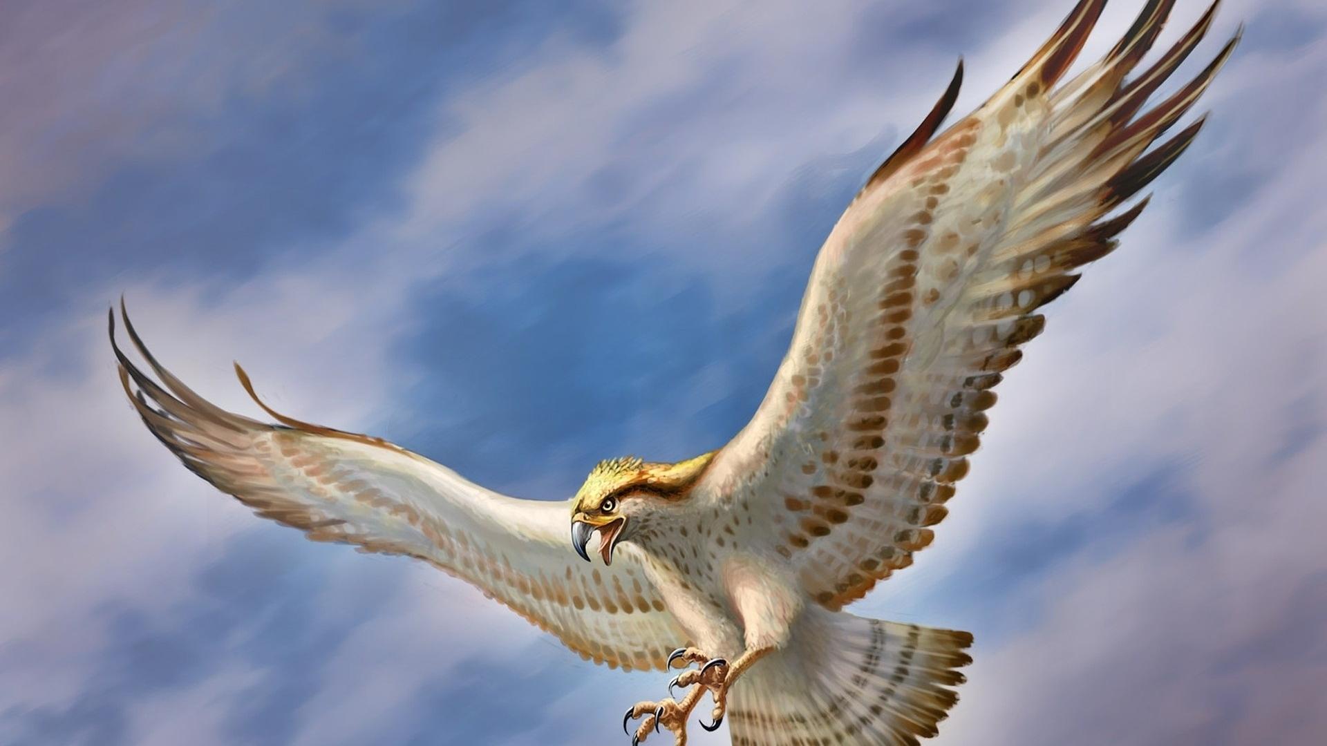 1920x1080 Wall.Cookdiary.net Eagle Wallpaper HD 11 X