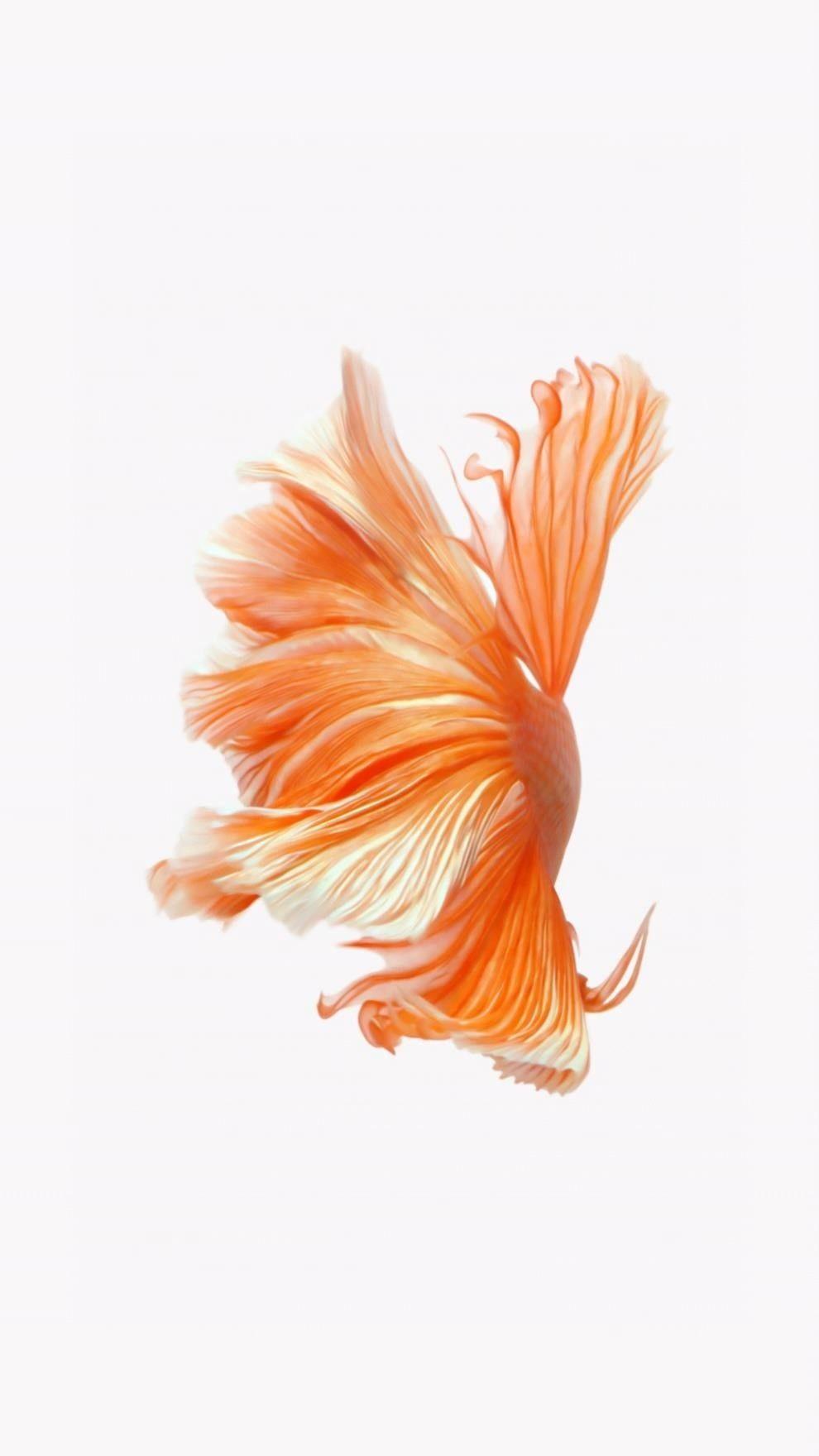 Premium Photo  The fish jumps out of the water generative ai