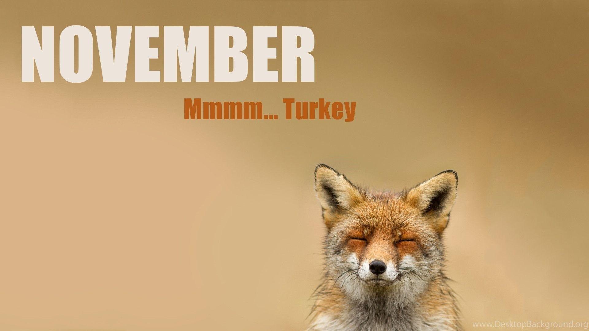 1920x1080 Thanksgiving Funny Wallpaper Funny Thanksgiving Wallpaper Desktop