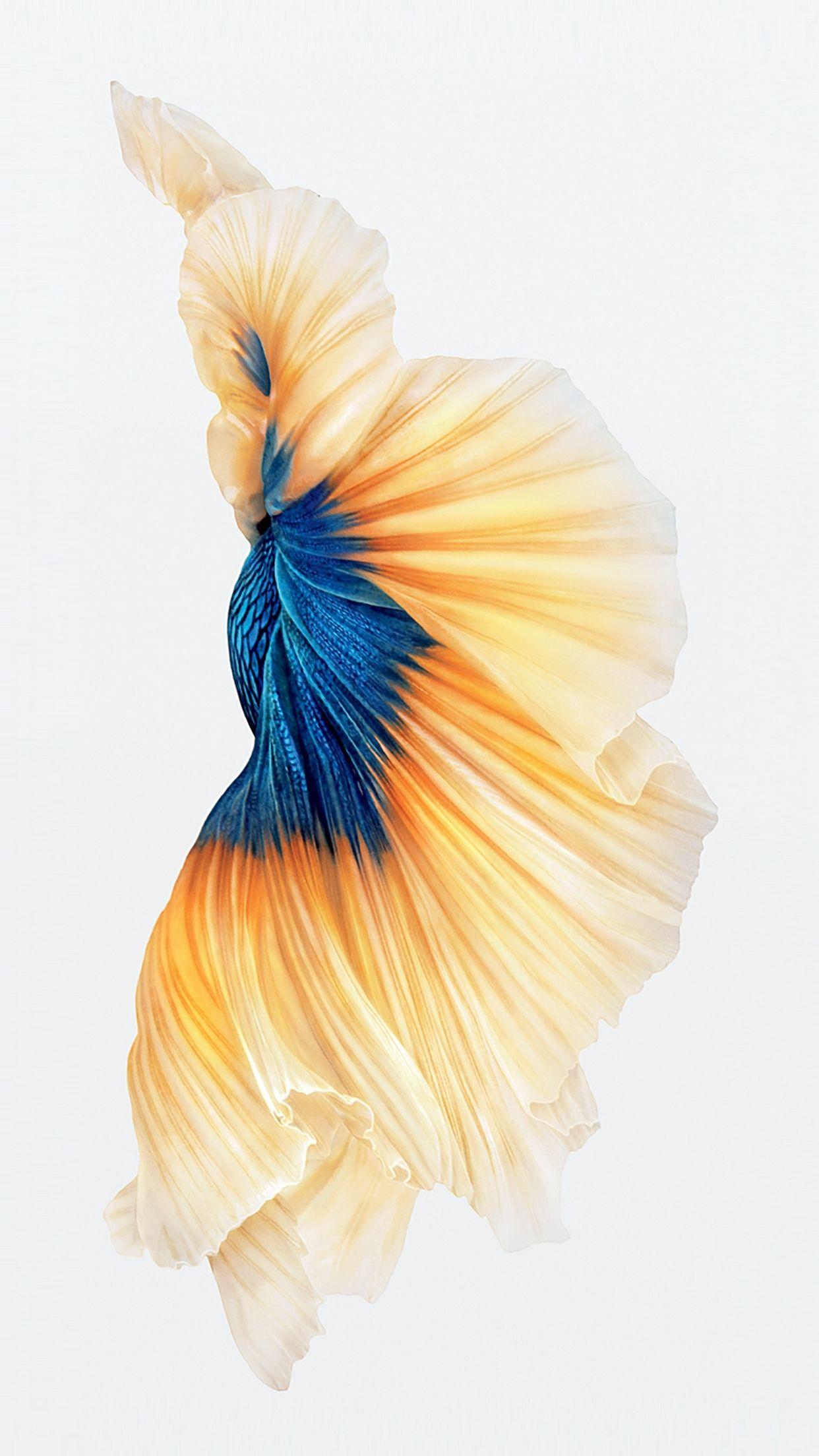 1242x2208 iPhone 6s Fish Wallpaper