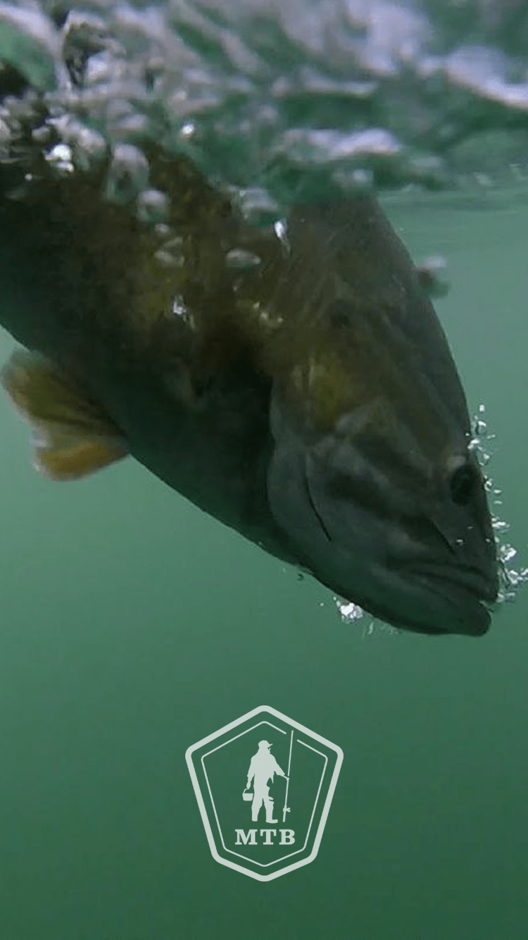 58 Bass Fishing Wallpaper HD