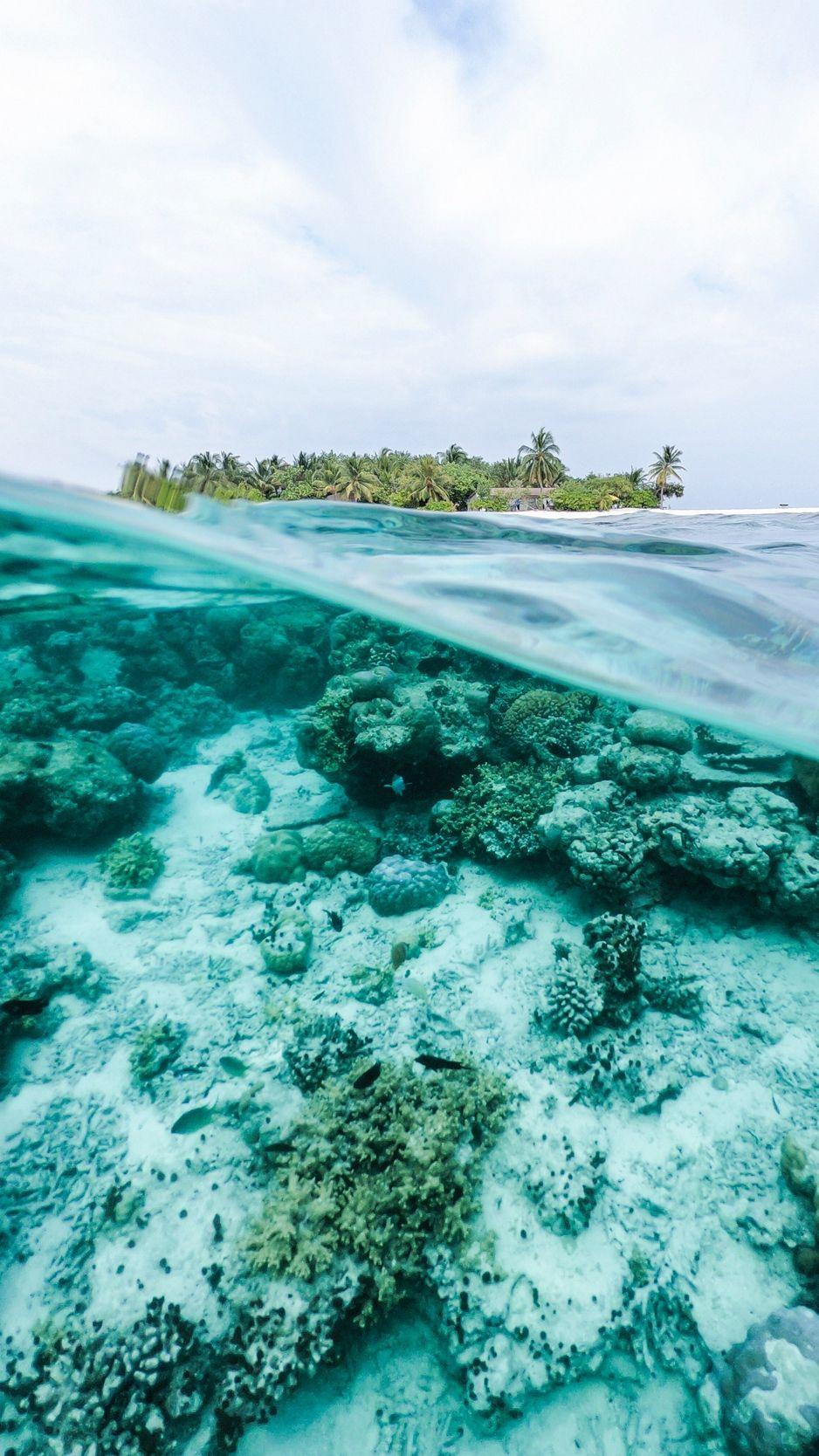 938x1668 Download wallpaper 938x1668 ocean, underwater world, water