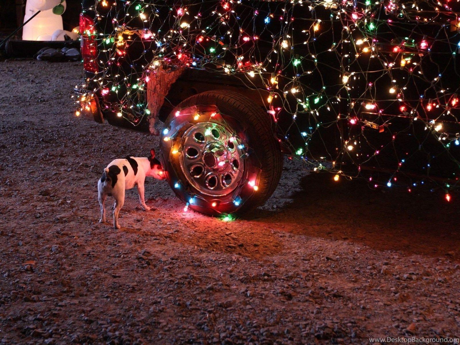 1600x1200 Dog, Car, Christmas Lights Wallpaper HD Desktop Background