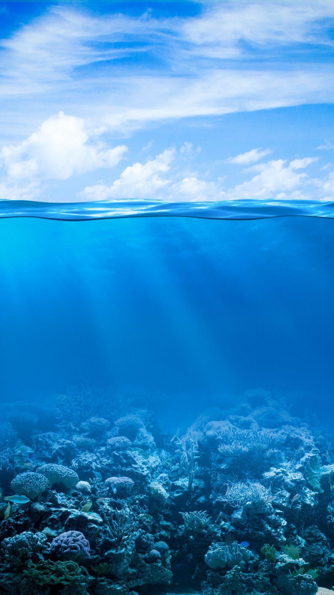 Underwater Ocean iPhone Wallpapers - Top Free Underwater Ocean iPhone