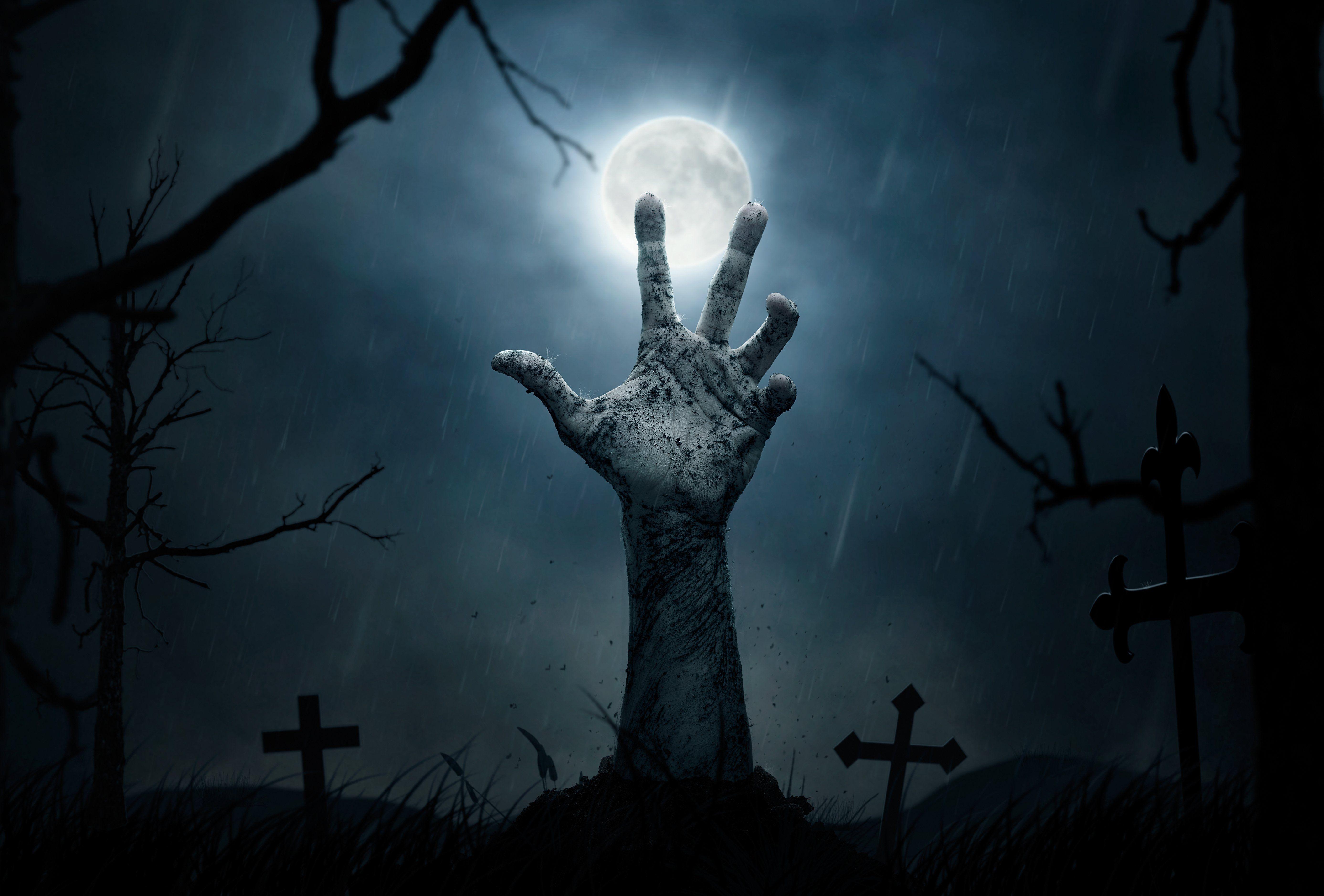 Zombie Wallpapers - Top Free Zombie Backgrounds - WallpaperAccess