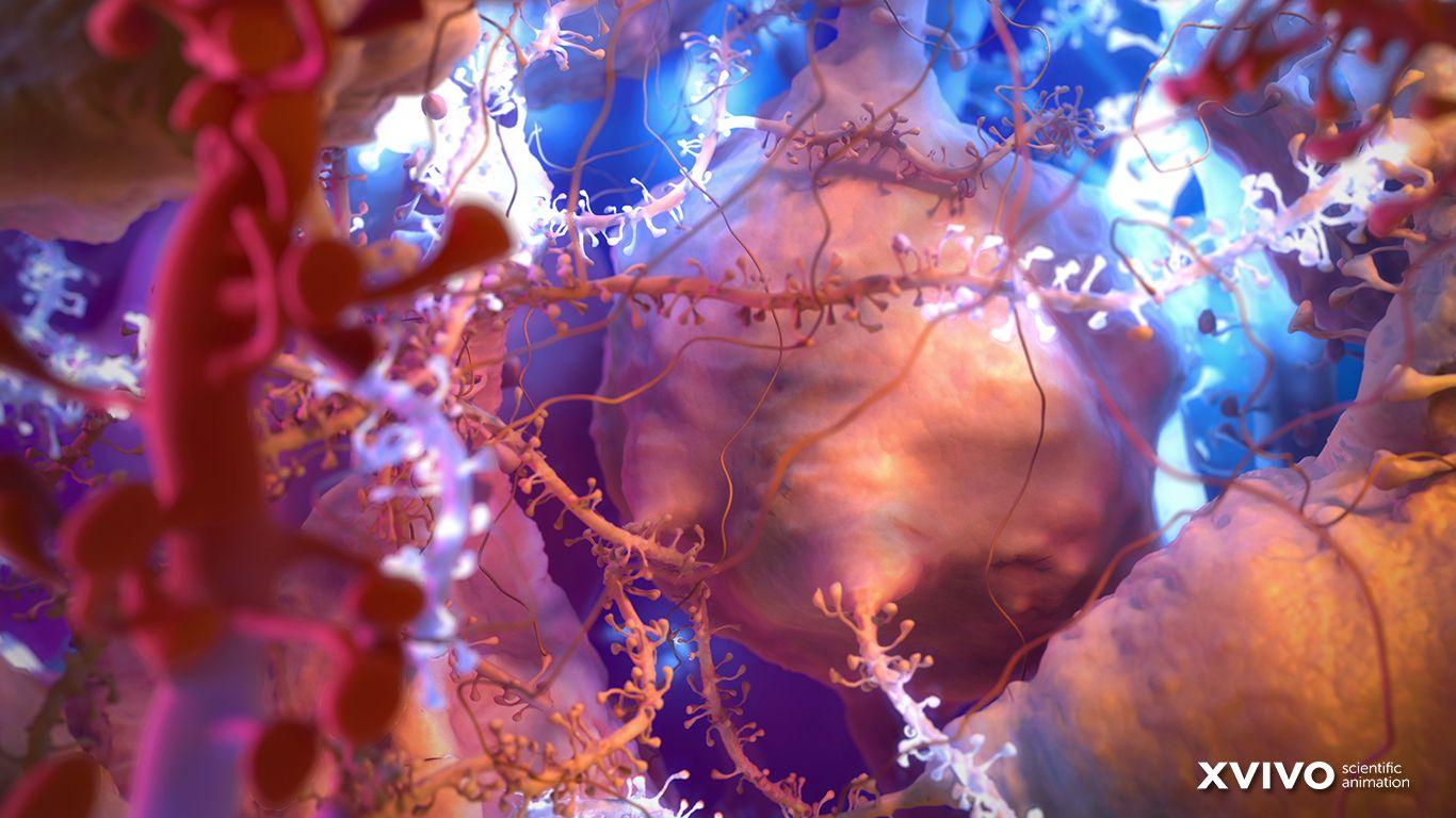 1366x768 Medicine Wallpaper, 33 Medicine Android Compatible Wallpaper, D