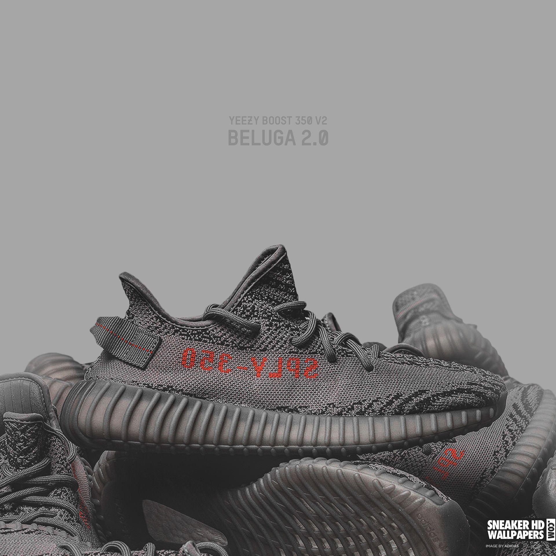 1920x1920 Adidas Yeezy Boost 350 Wallpaper