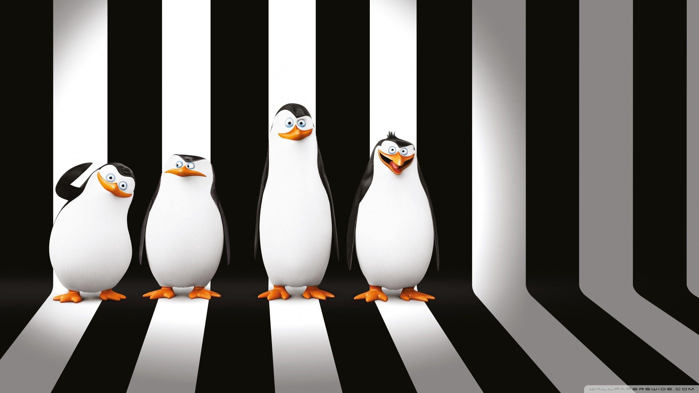 2400x1350 Penguins of Madagascar Wallpaper
