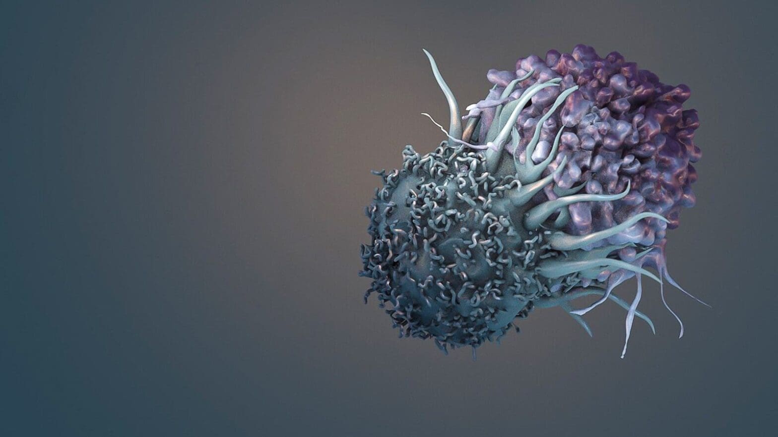 1568x882 immune cells to kill cancer