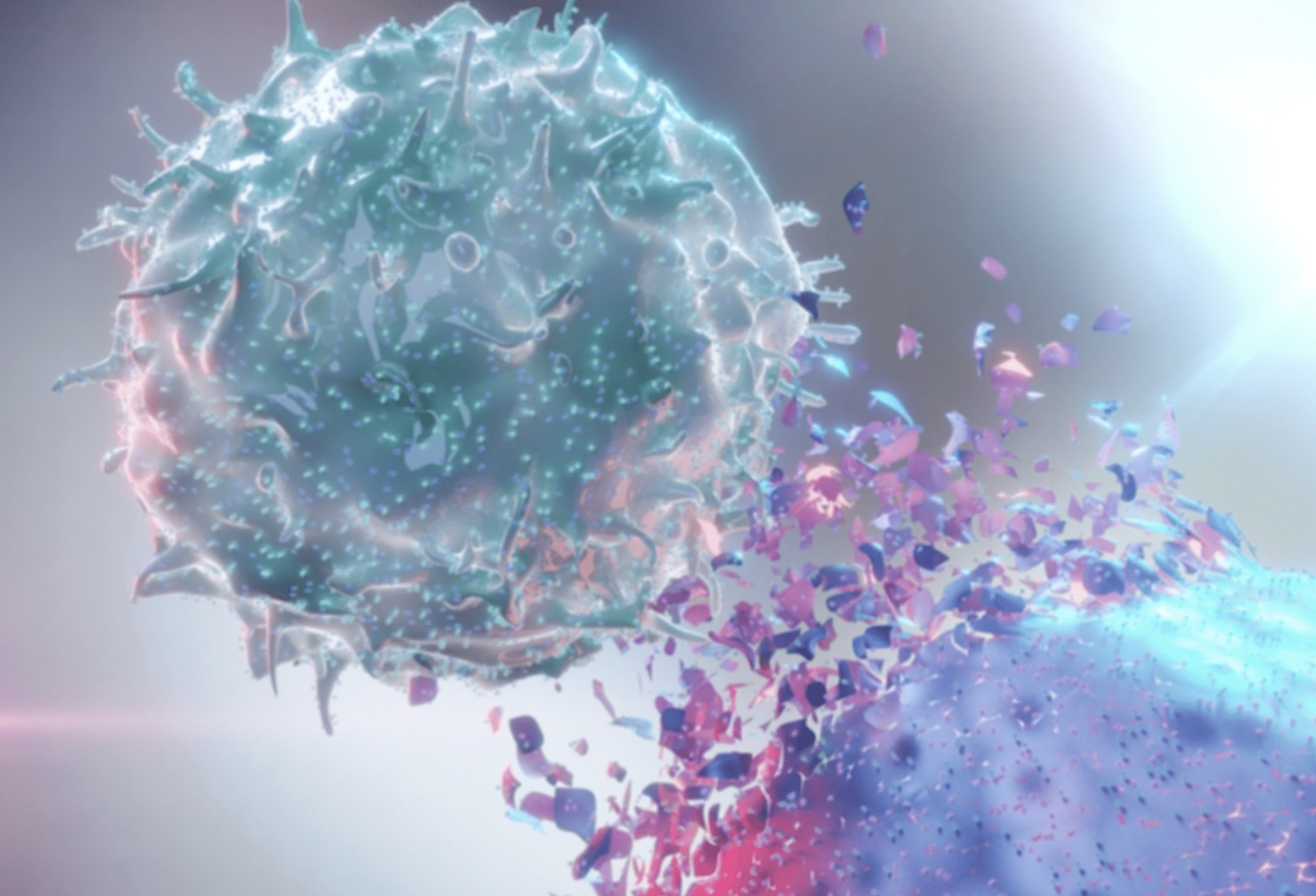 1894x1290 Immune Therapy Targets Cells that Cause
