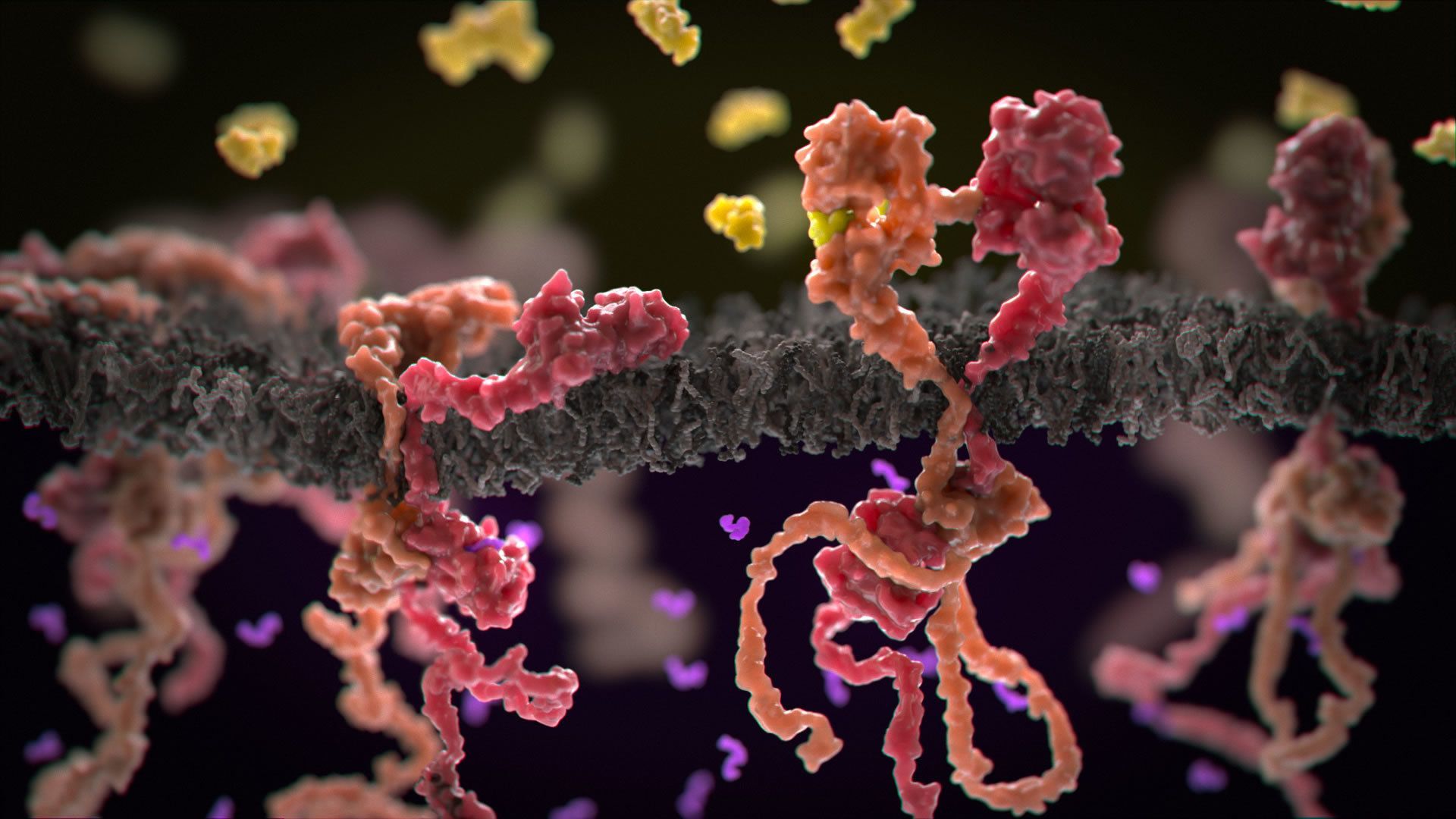 1920x1080 breast cancer drug