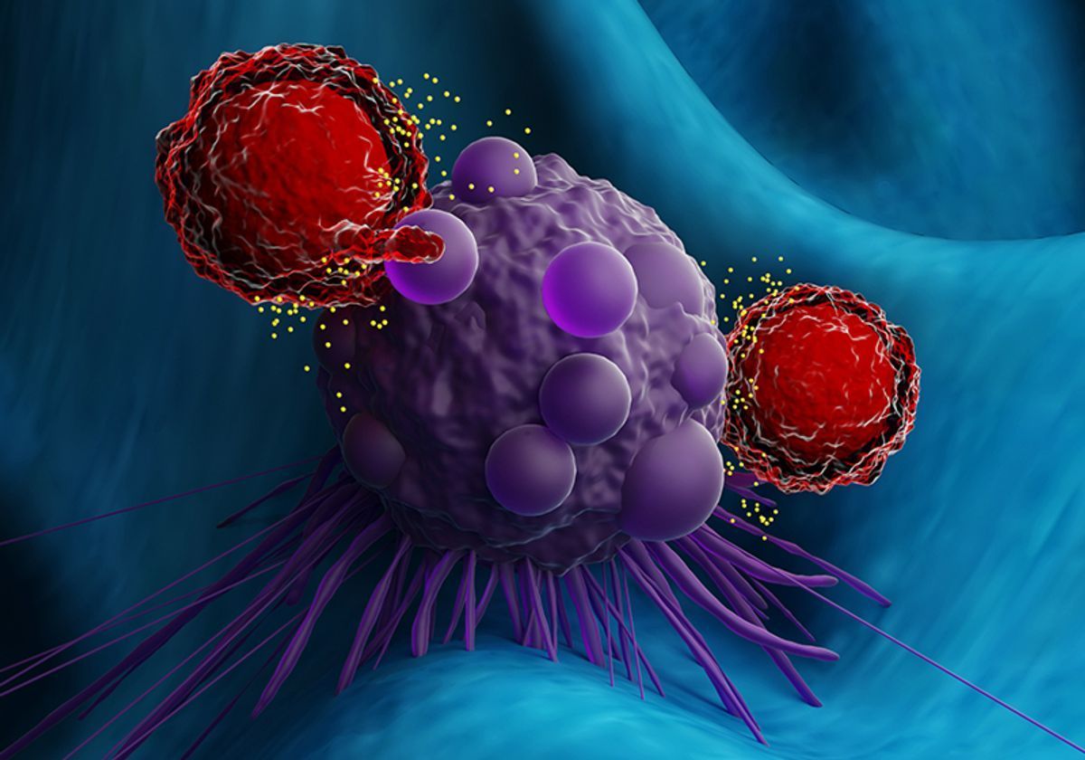 1200x840 T Cells Find Their Way to Tumors