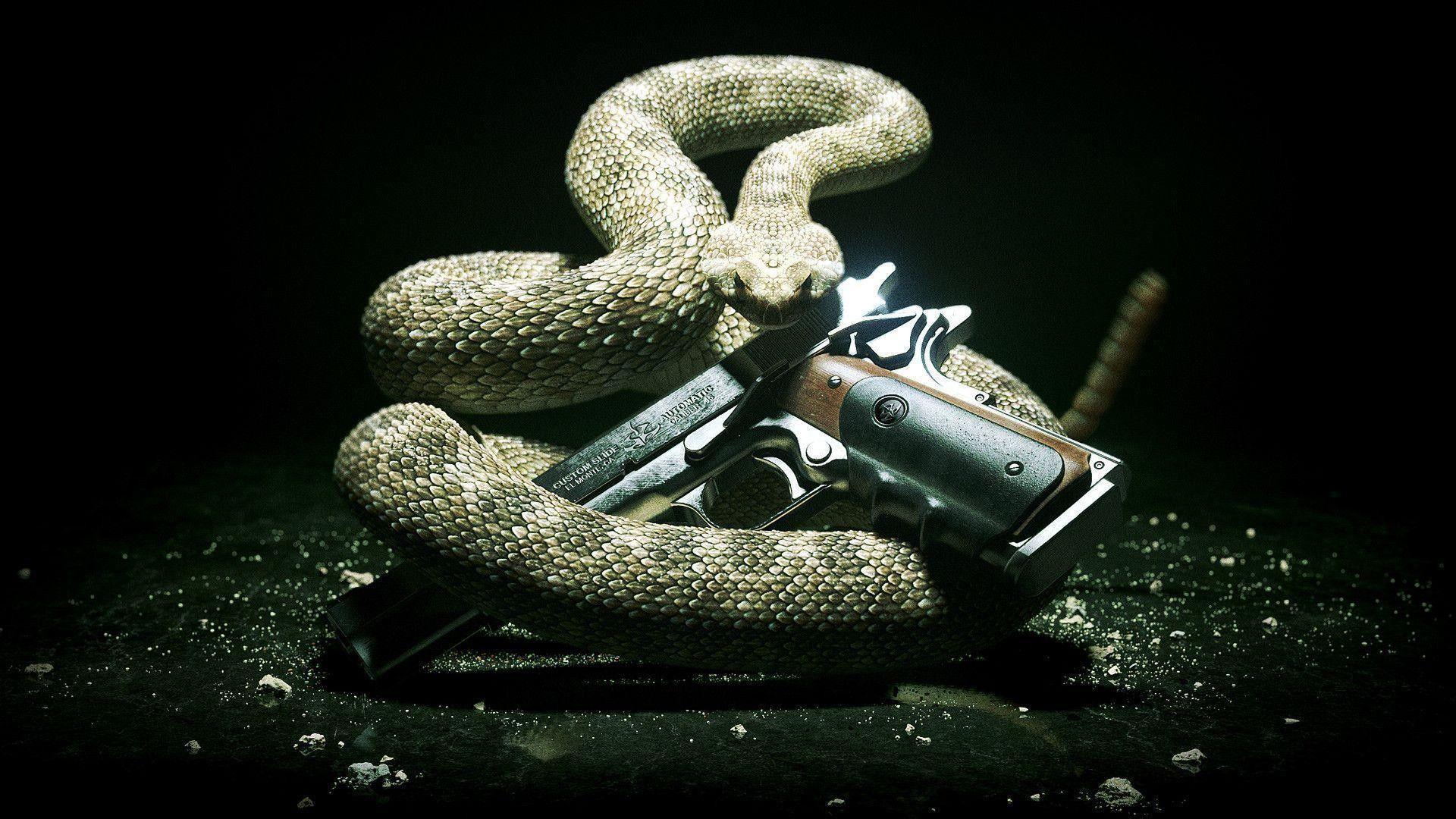 1920x1080 Dj Snake HD Wallpaper Snake And Gun, HD Wallpaper