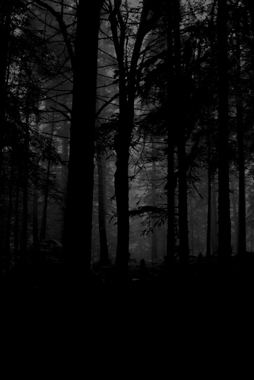 857x1280 Dark artwork, Dark phone wallpaper