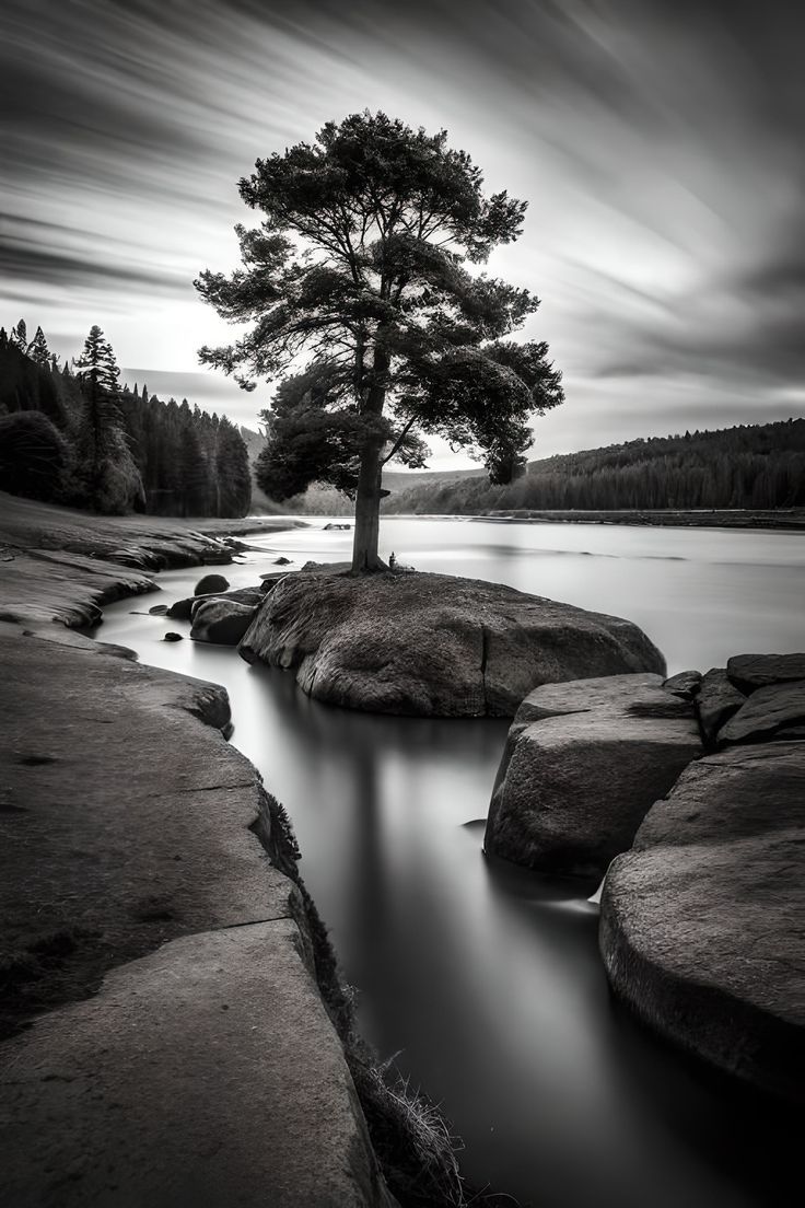 736x1104 Black and White Nature Wallpaper
