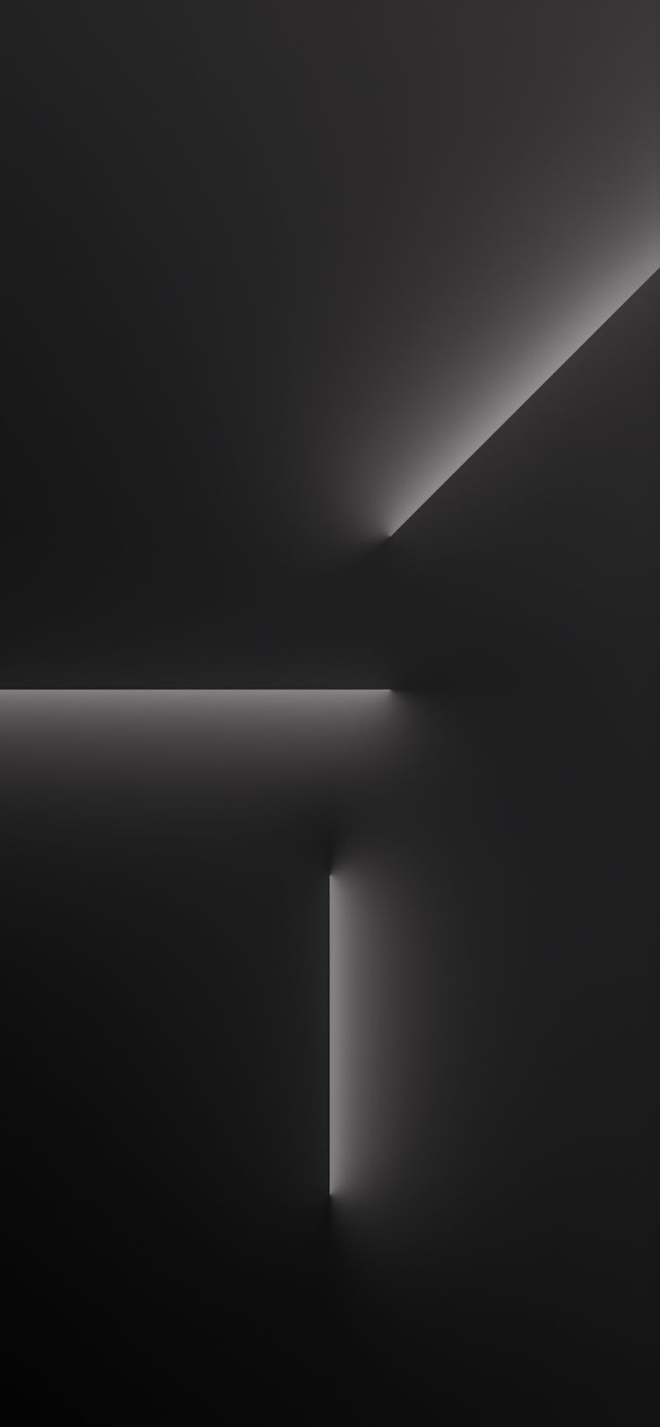736x1591 iPhone 13 Pro Max Graphite