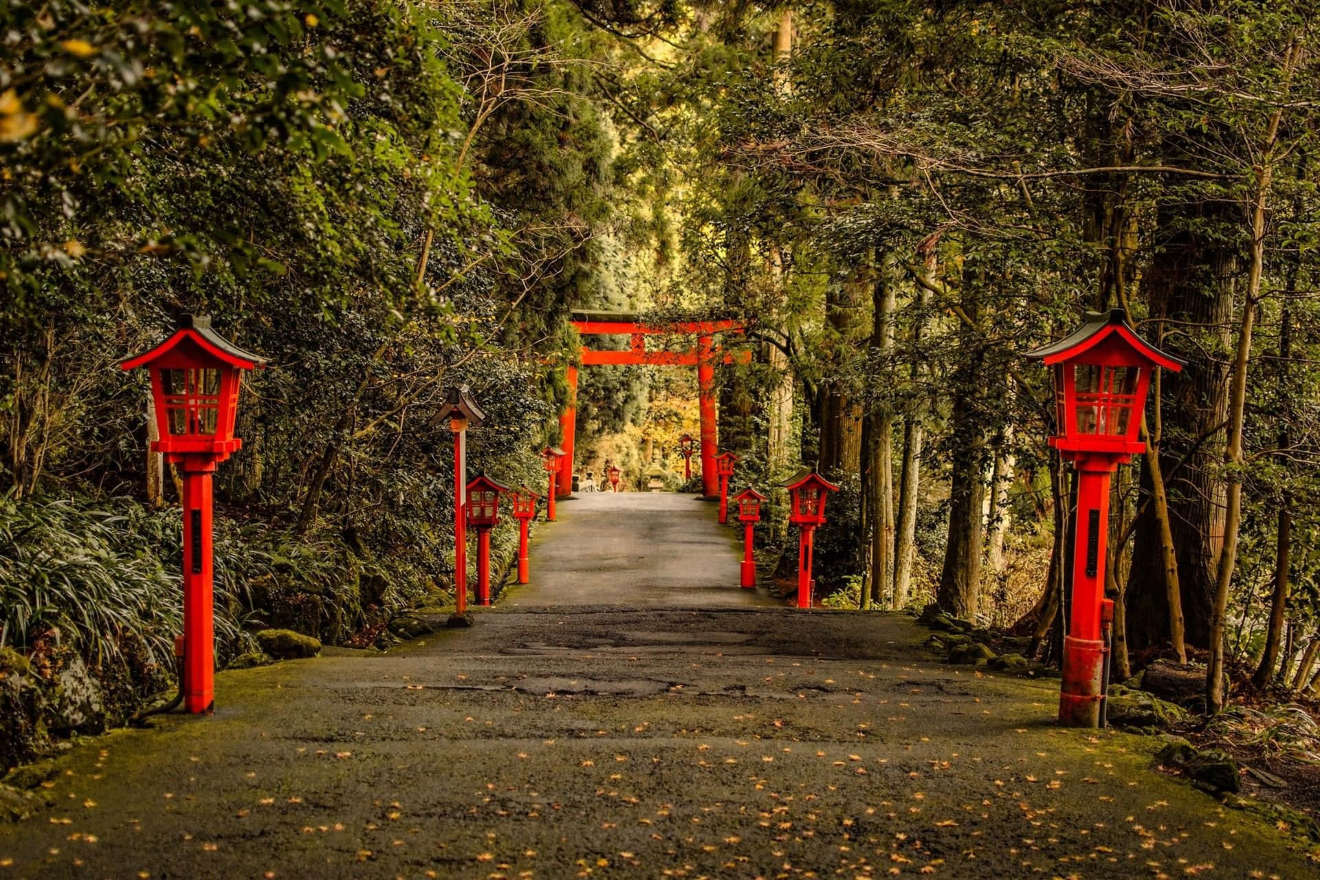 1920x1280 Hakone Shrine Road Japan Background