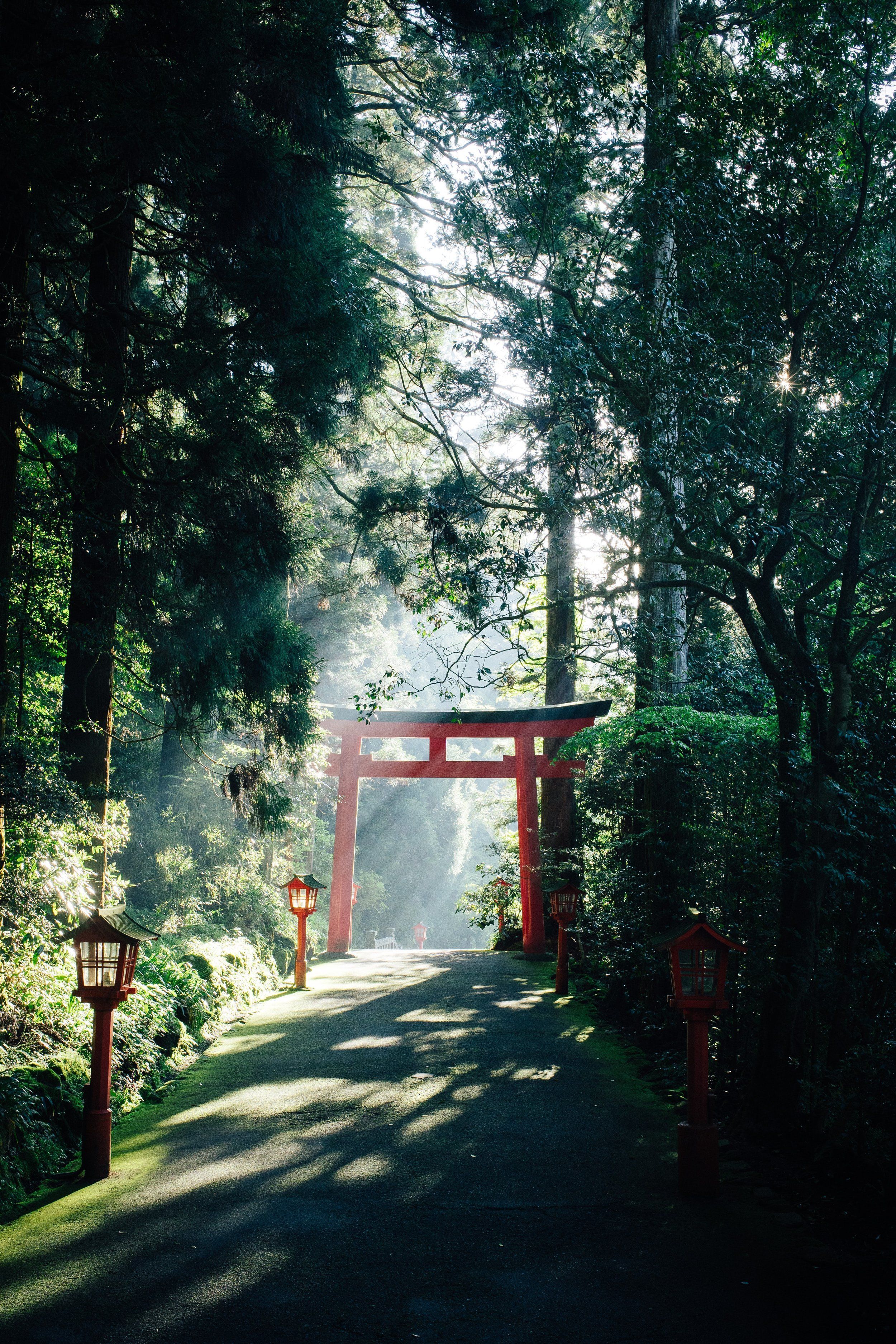2500x3750 DAY 6: Hakone Kamakura