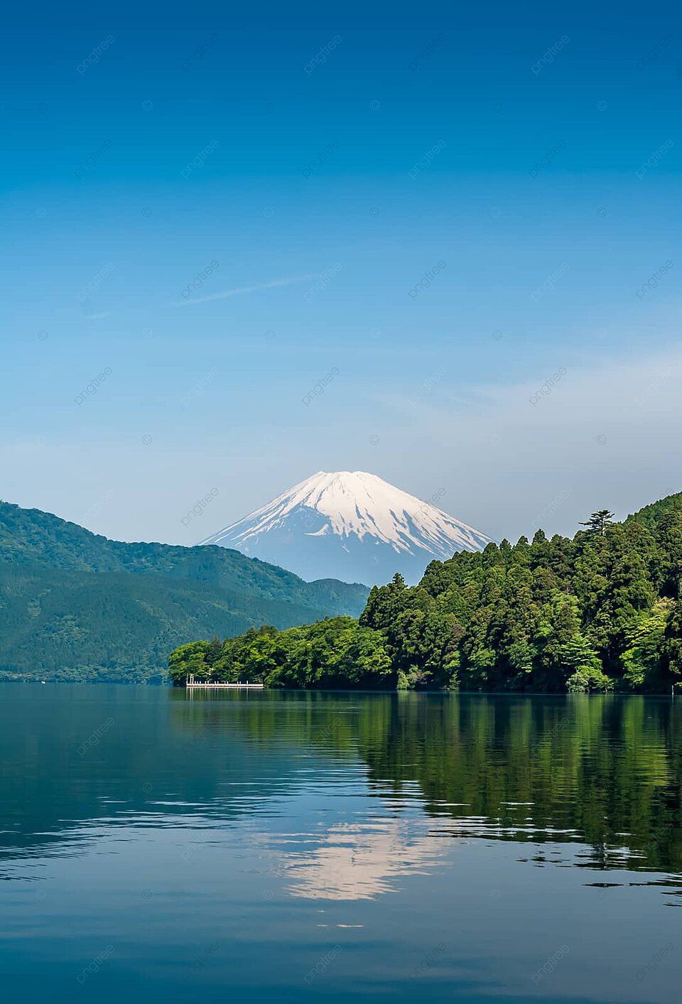 960x1413 Lake Ashi And Mount Fuji Pine Trees