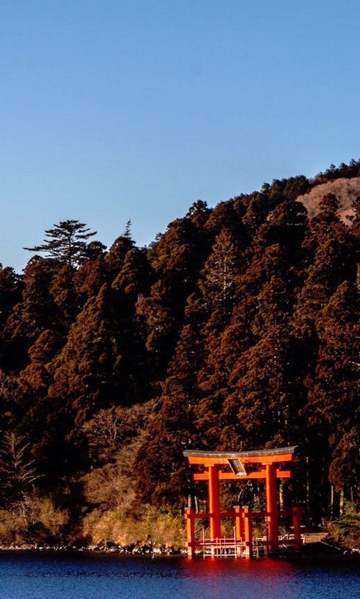 736x1226 Private Hakone Journey: Immerse in