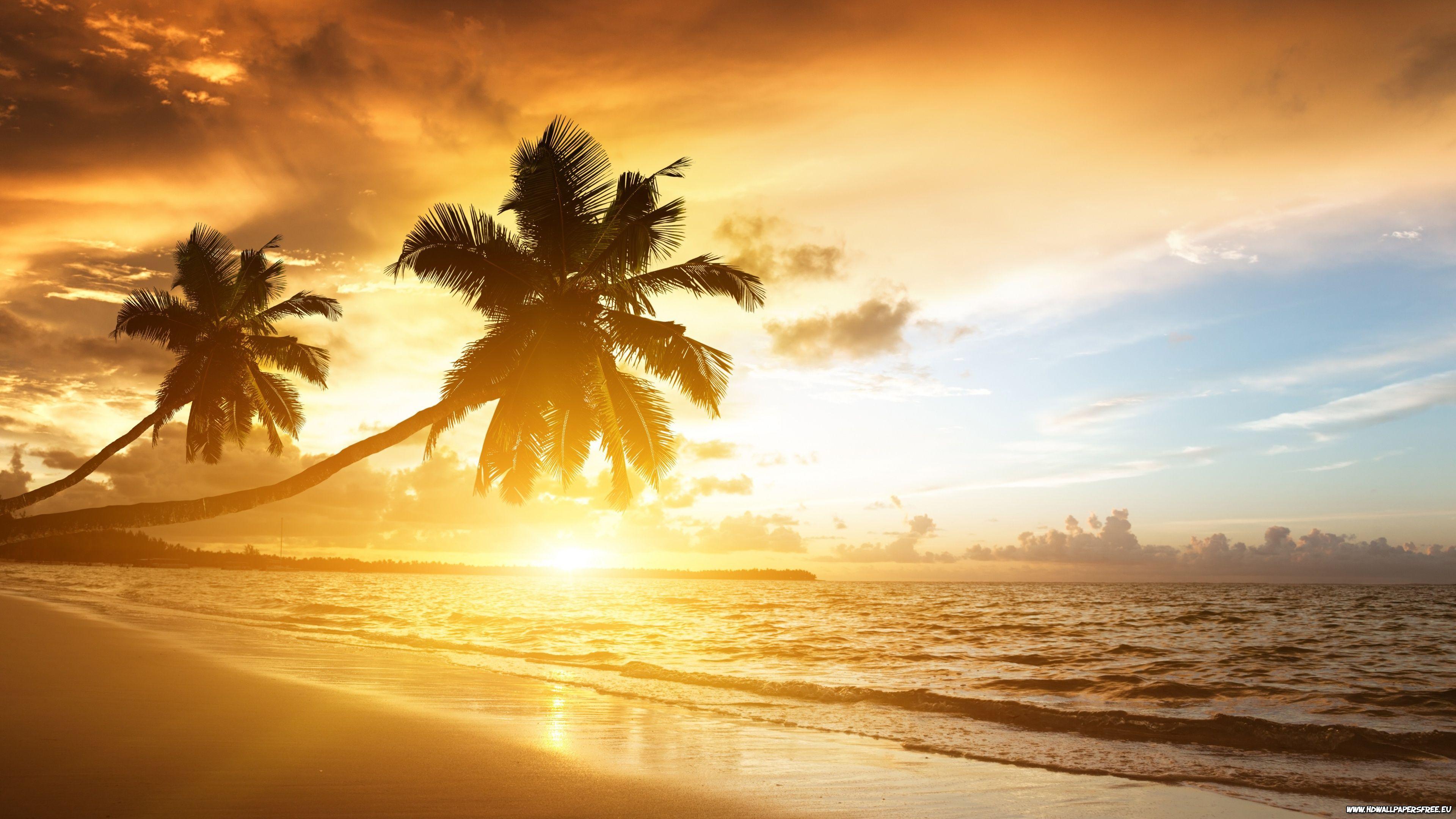 3840x2160 Exotic Beach Wallpaper Cool Picture #uhqya452. estamparia