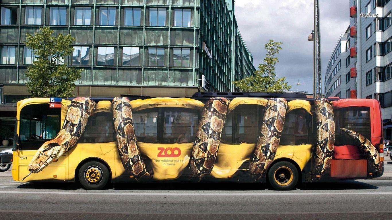 1366x768 Copenhagen Zoo advert Bus wallpaper