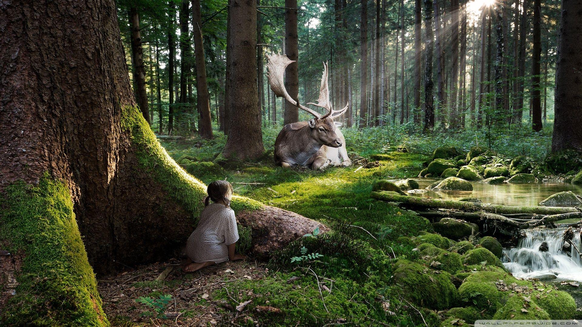 1920x1080 Fairytale Forests wallpaper