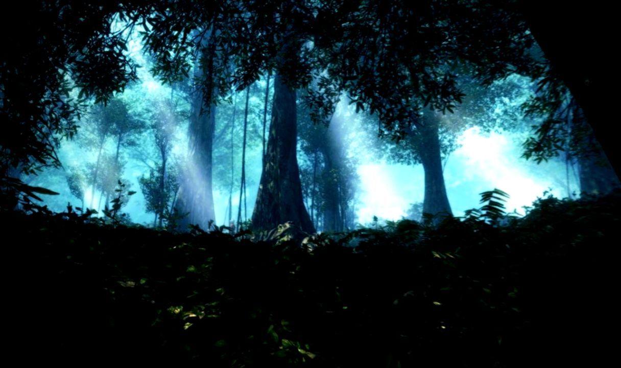 Abstract Forest Wallpapers - Top Free Abstract Forest Backgrounds