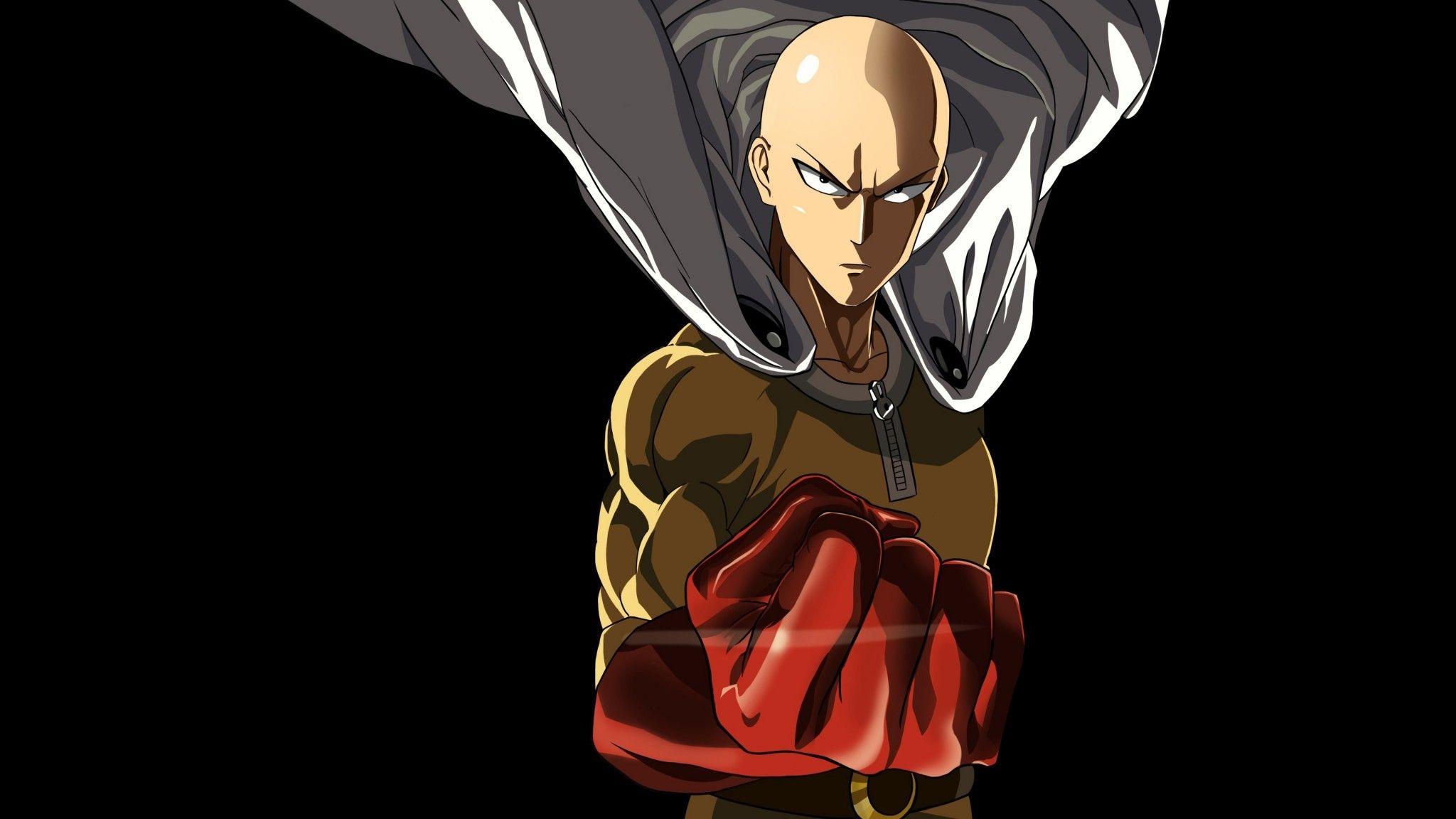 2048x1152 Download 2048x1152 Saitama, One Punch Man, Cape, Fist