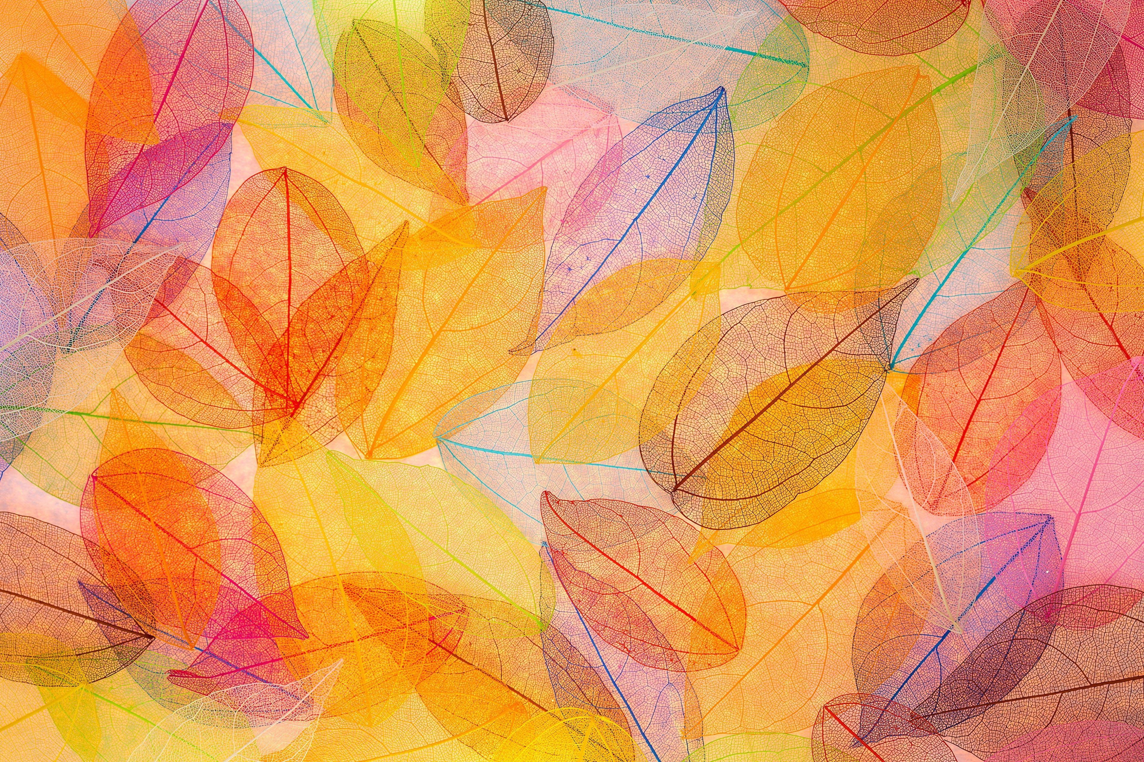 Fall Watercolor Wallpapers - Top Free Fall Watercolor Backgrounds