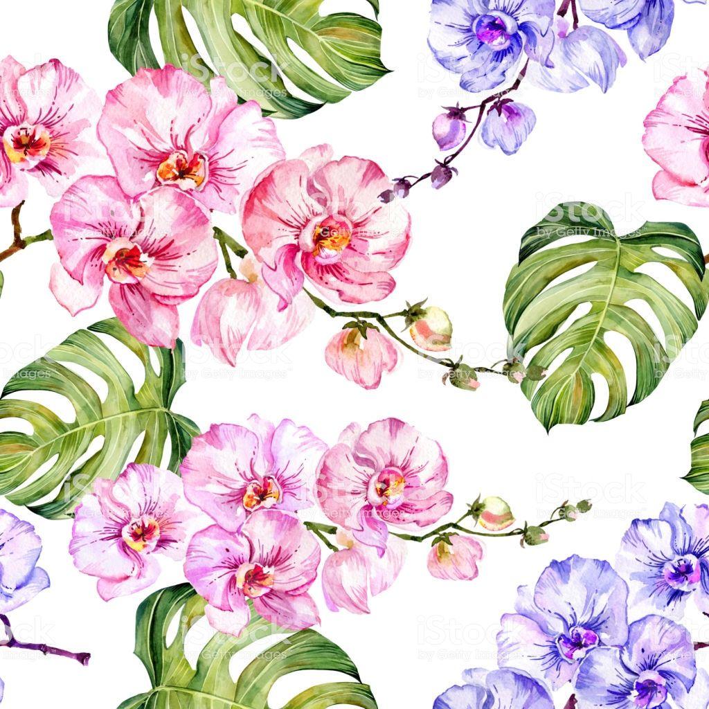 1024x1024 Best Seamless frieze pattern with watercolor flowers