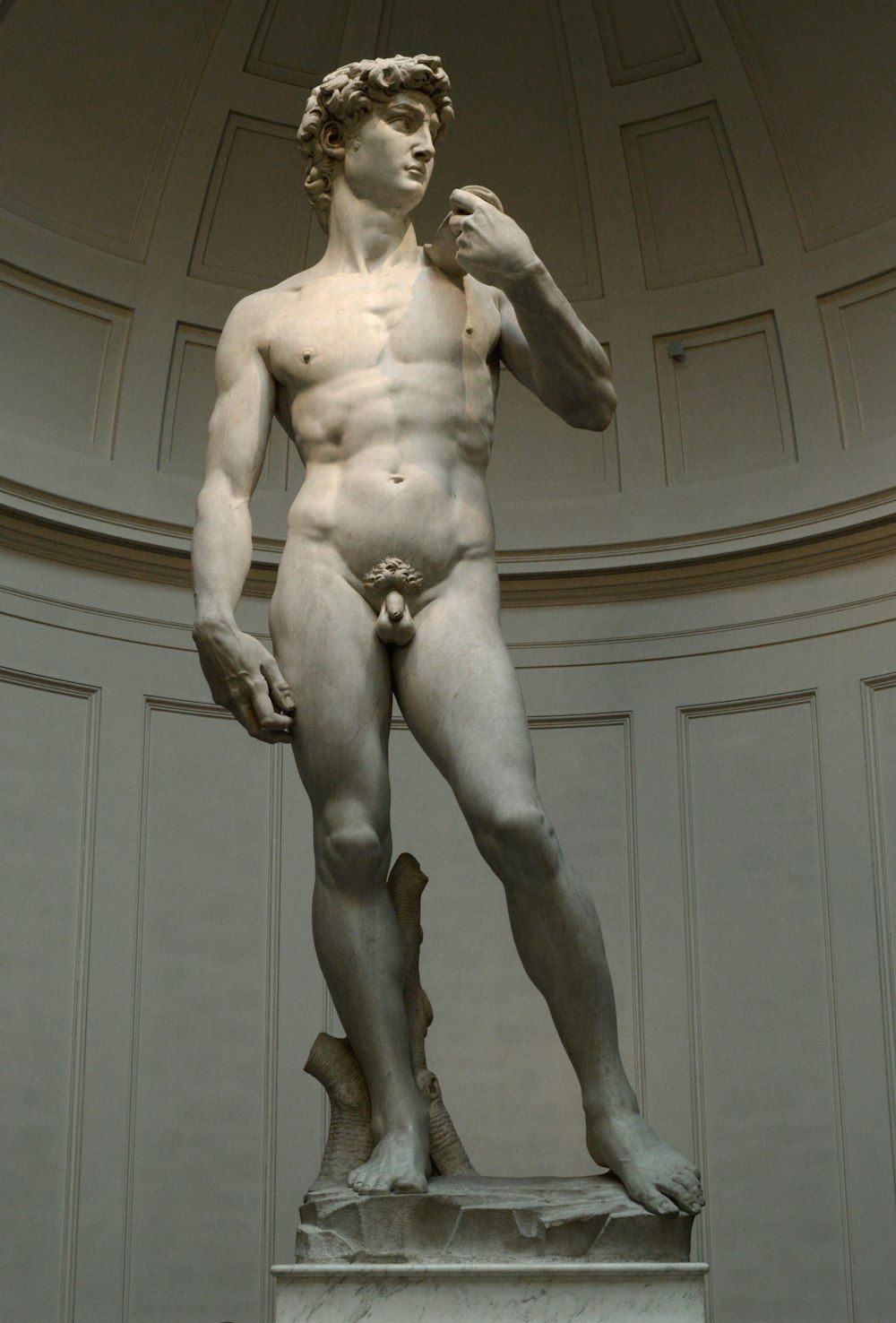 1000x1476 Michelangelo David Picture. Download