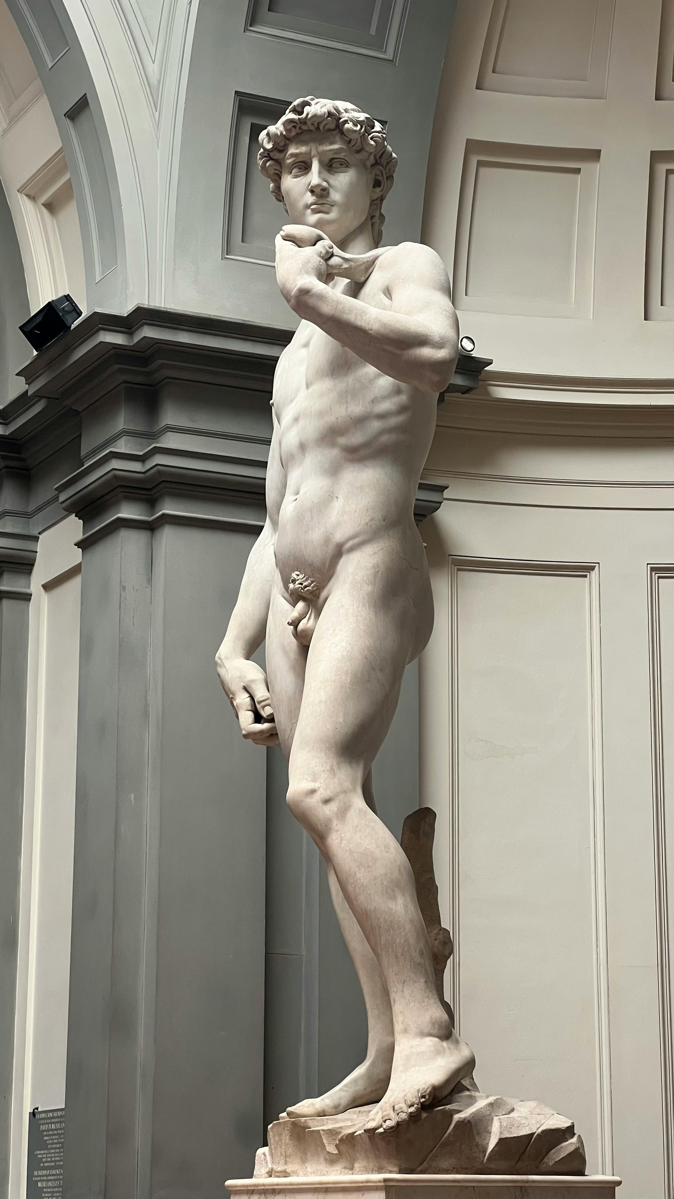 2268x4032 David of Michelangelo Sculpture