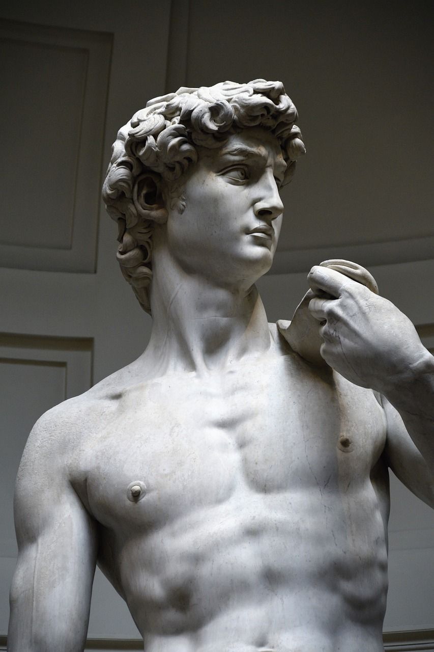 853x1280 David Sculpture & David Image