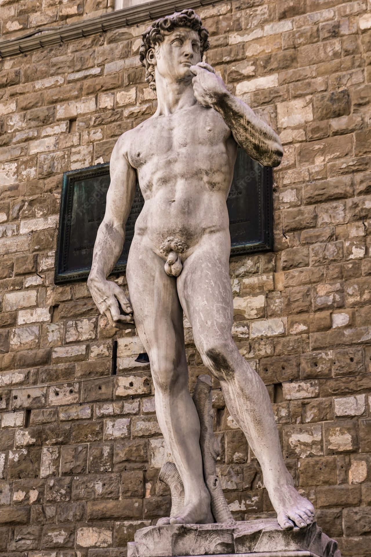 1280x1920 Of Michelangelo Replica Wallpaper