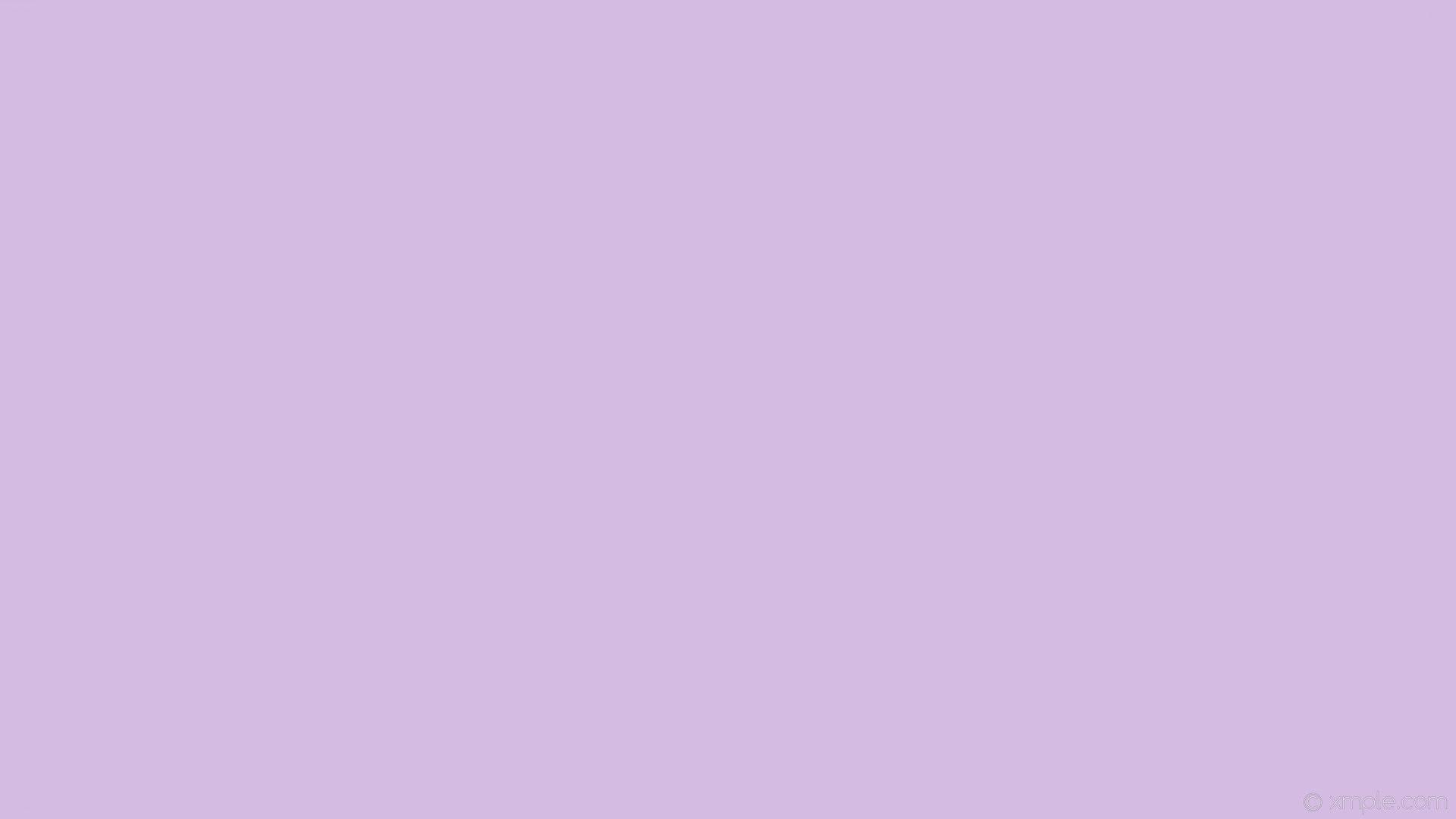 Warna lilac purple