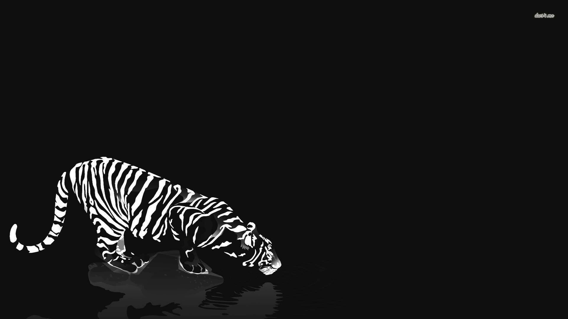 1920x1080 Black and White Tiger wallpaper Art wallpaper